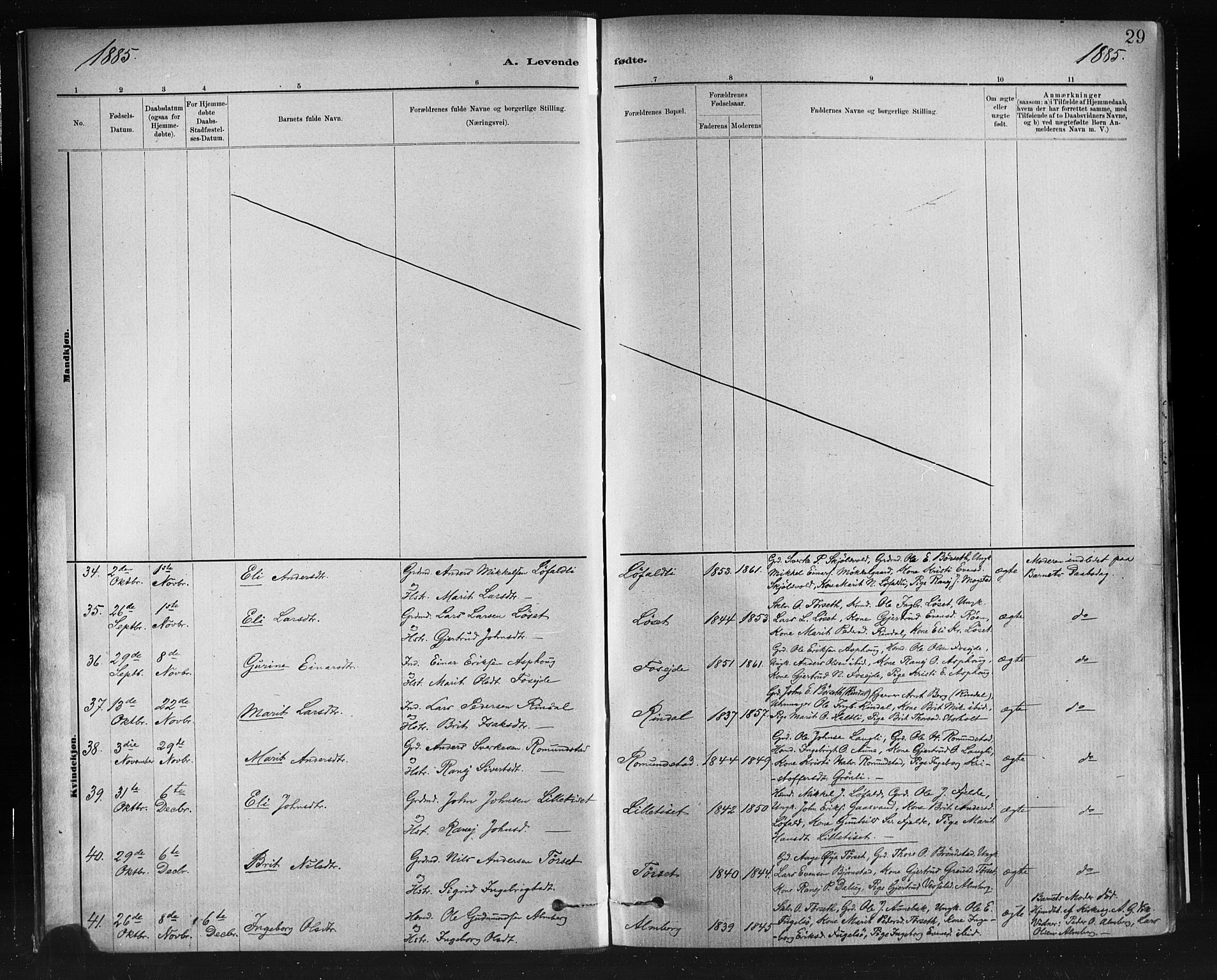 Ministerialprotokoller, klokkerbøker og fødselsregistre - Møre og Romsdal, AV/SAT-A-1454/598/L1069: Parish register (official) no. 598A03, 1882-1895, p. 29