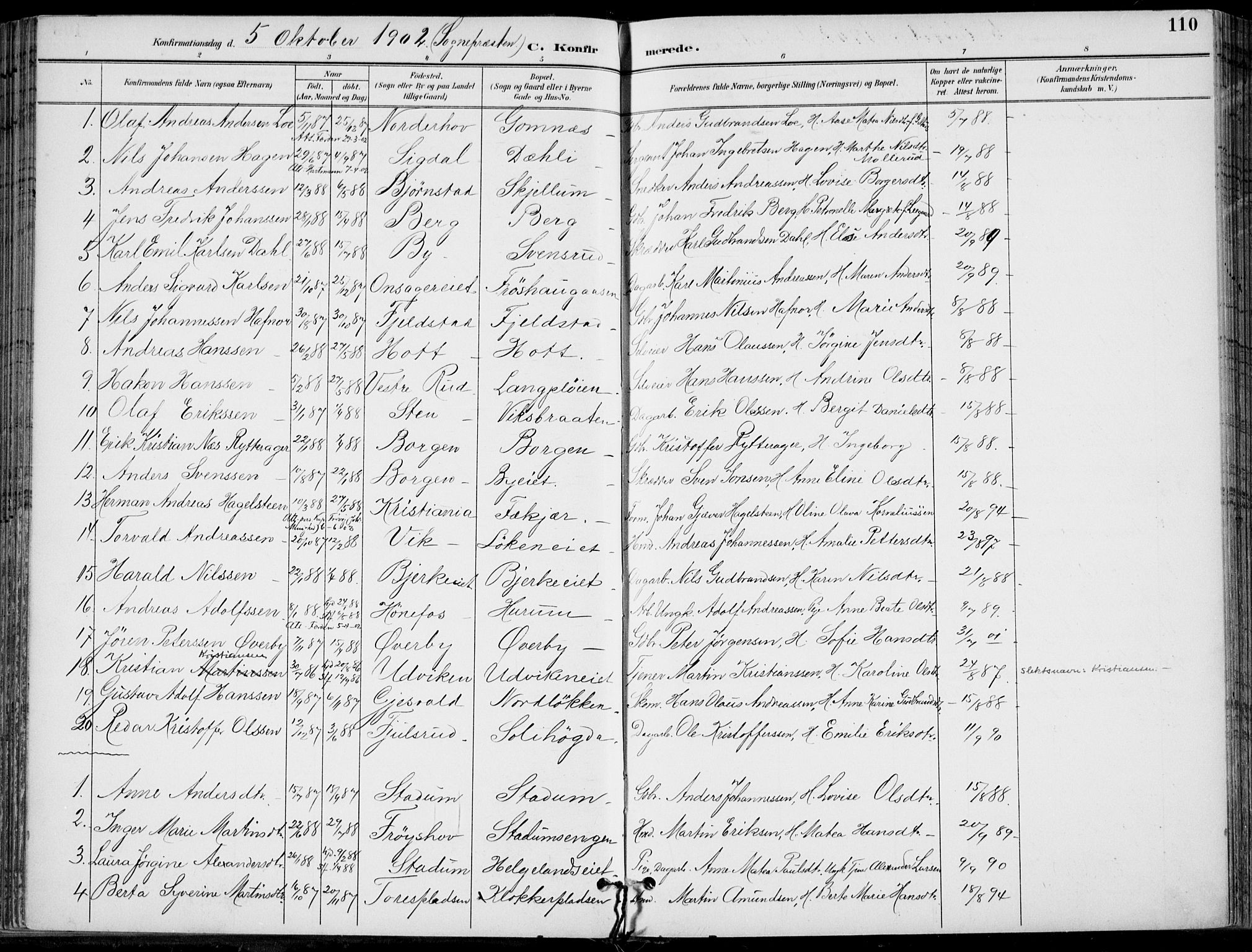 Hole kirkebøker, AV/SAKO-A-228/F/Fa/L0009: Parish register (official) no. I 9, 1892-1907, p. 110