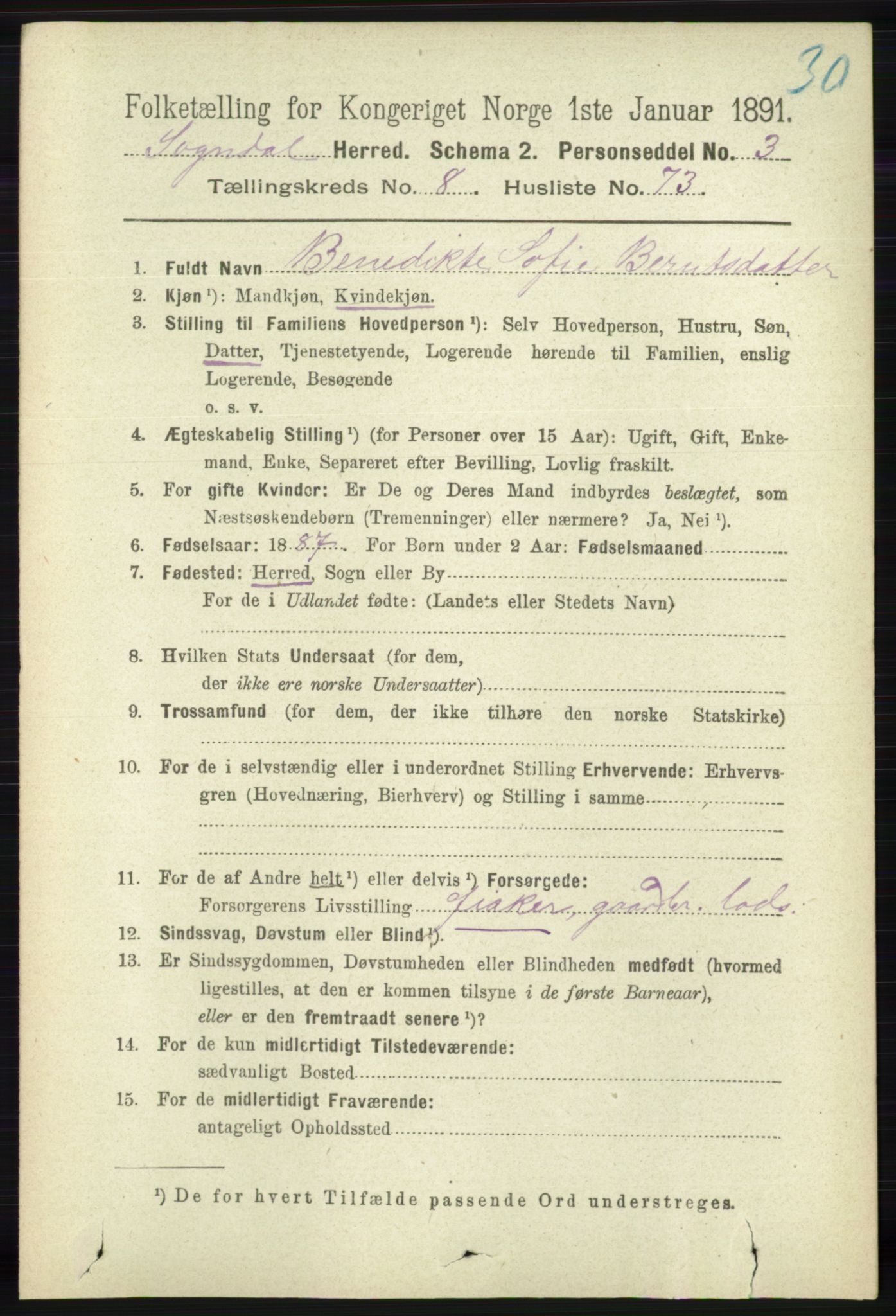 RA, 1891 census for 1111 Sokndal, 1891, p. 3102