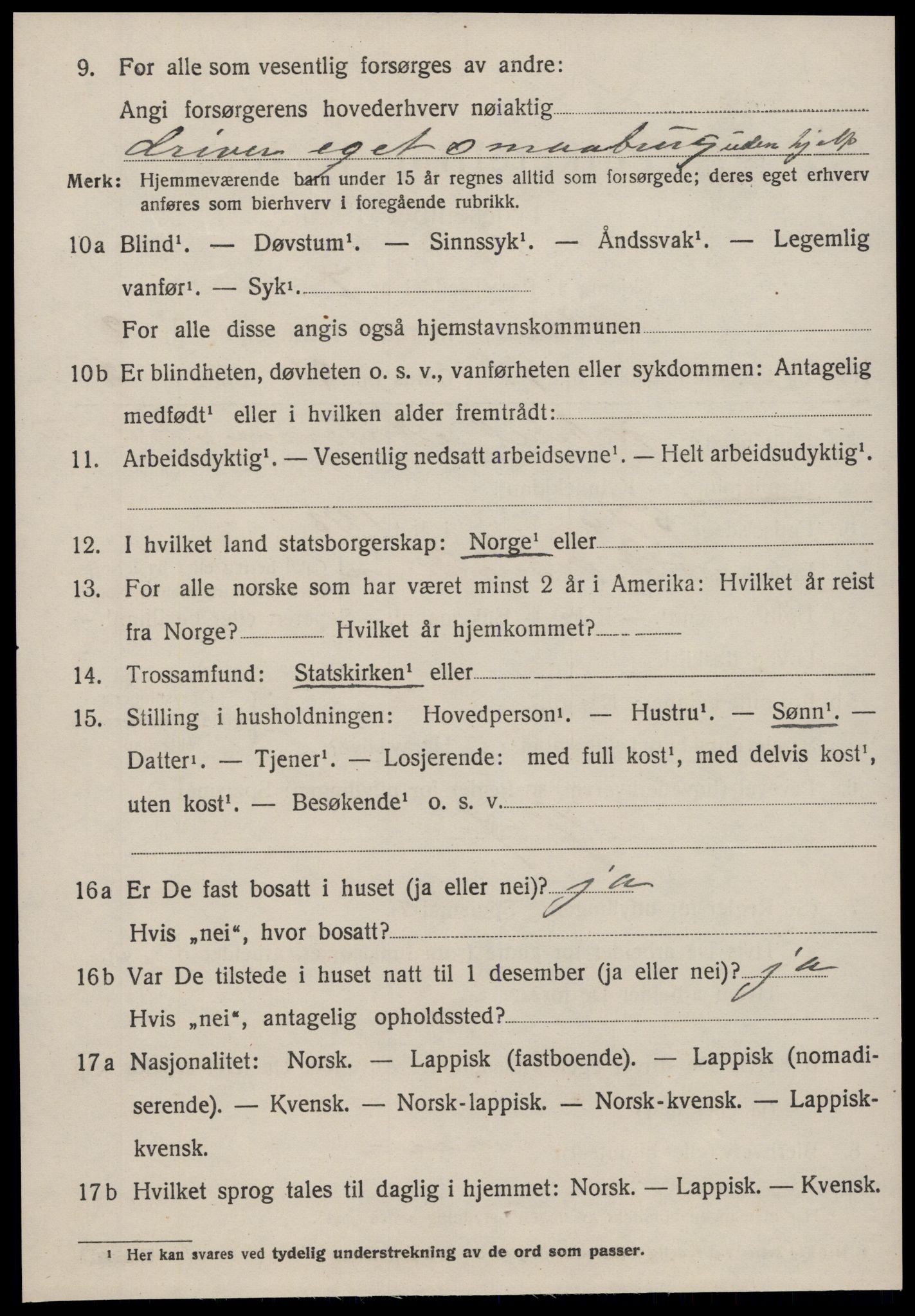 SAT, 1920 census for Heim, 1920, p. 1906