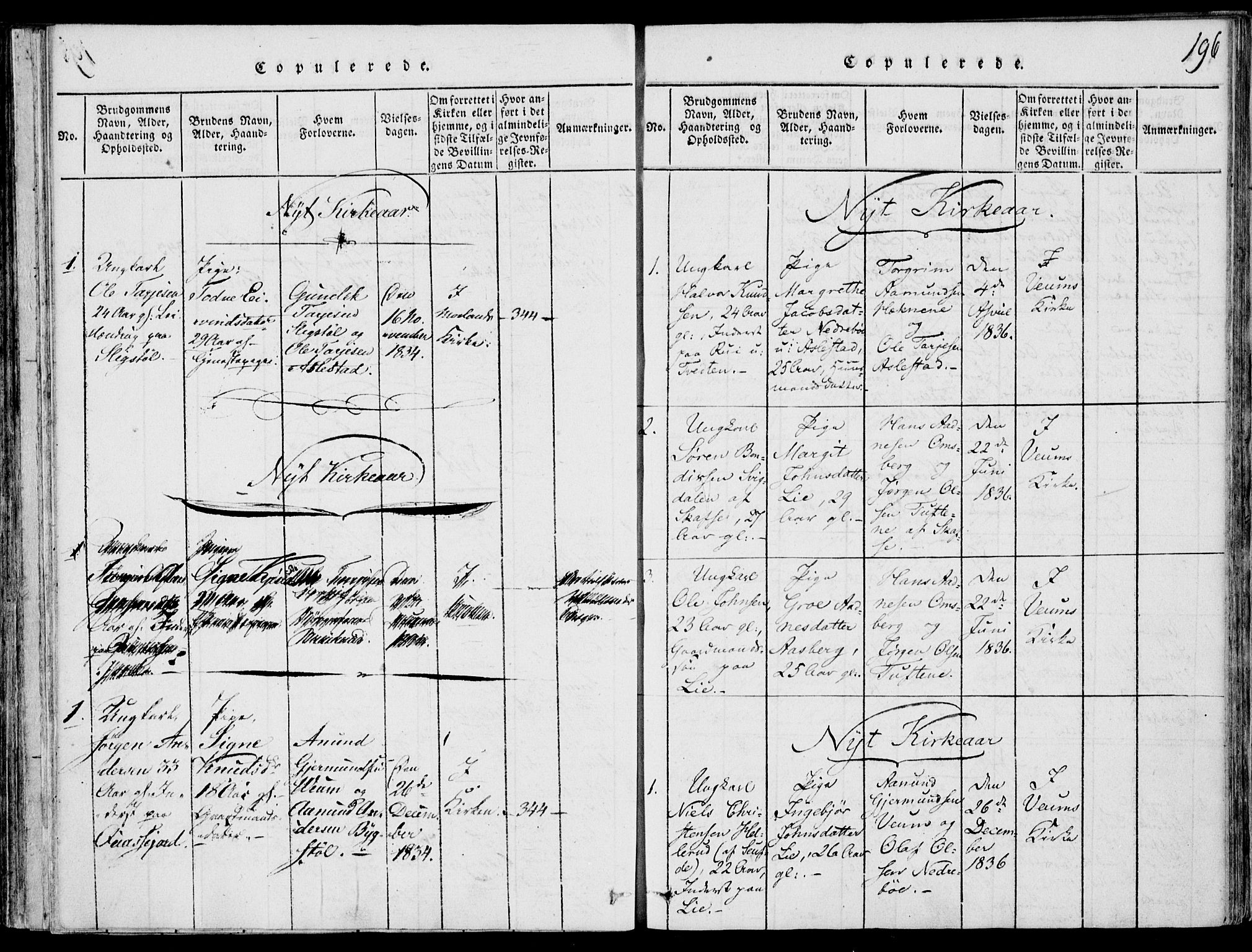 Fyresdal kirkebøker, SAKO/A-263/F/Fb/L0001: Parish register (official) no. II 1, 1815-1854, p. 196