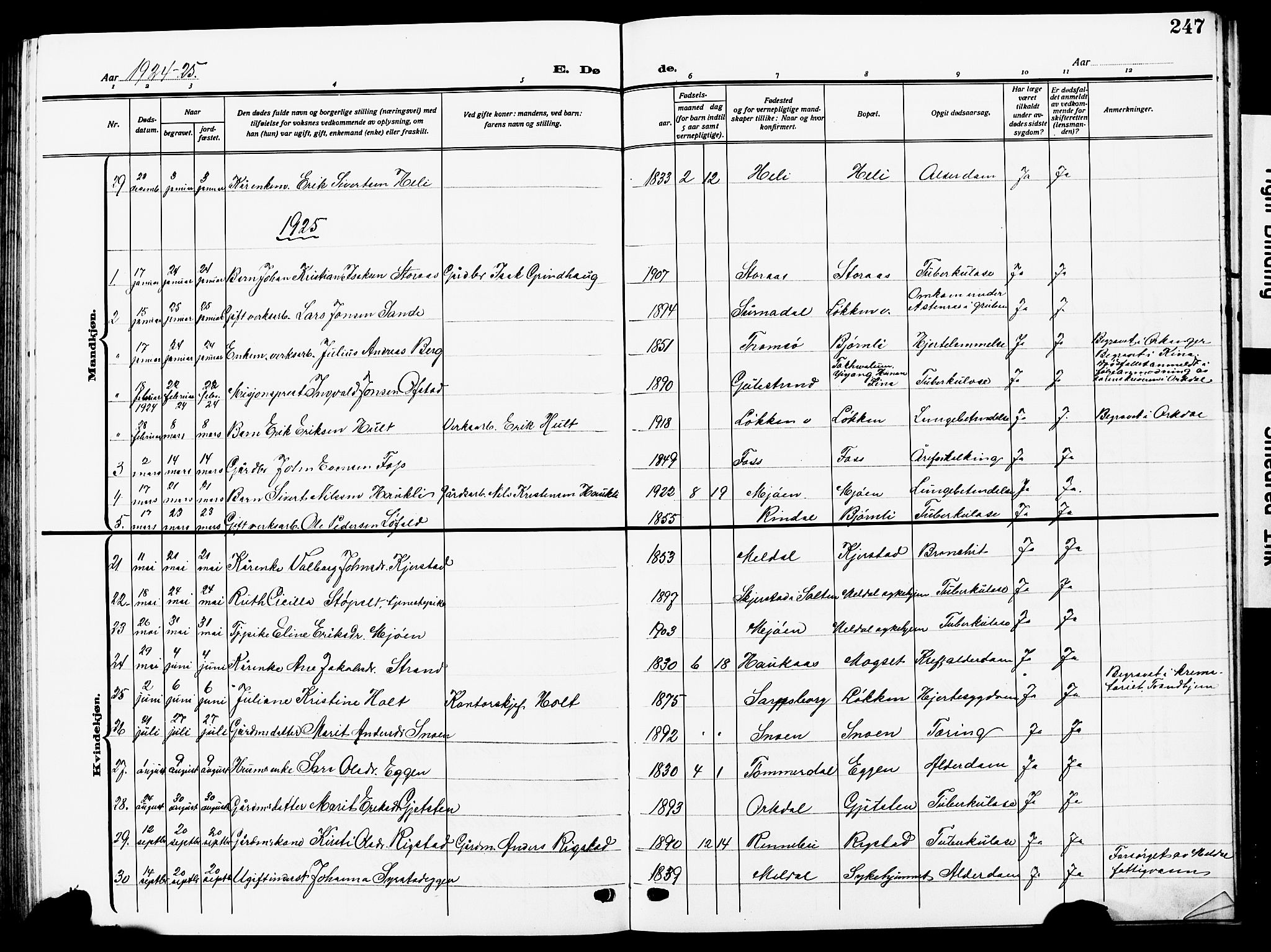 Ministerialprotokoller, klokkerbøker og fødselsregistre - Sør-Trøndelag, SAT/A-1456/672/L0865: Parish register (copy) no. 672C04, 1914-1928, p. 247