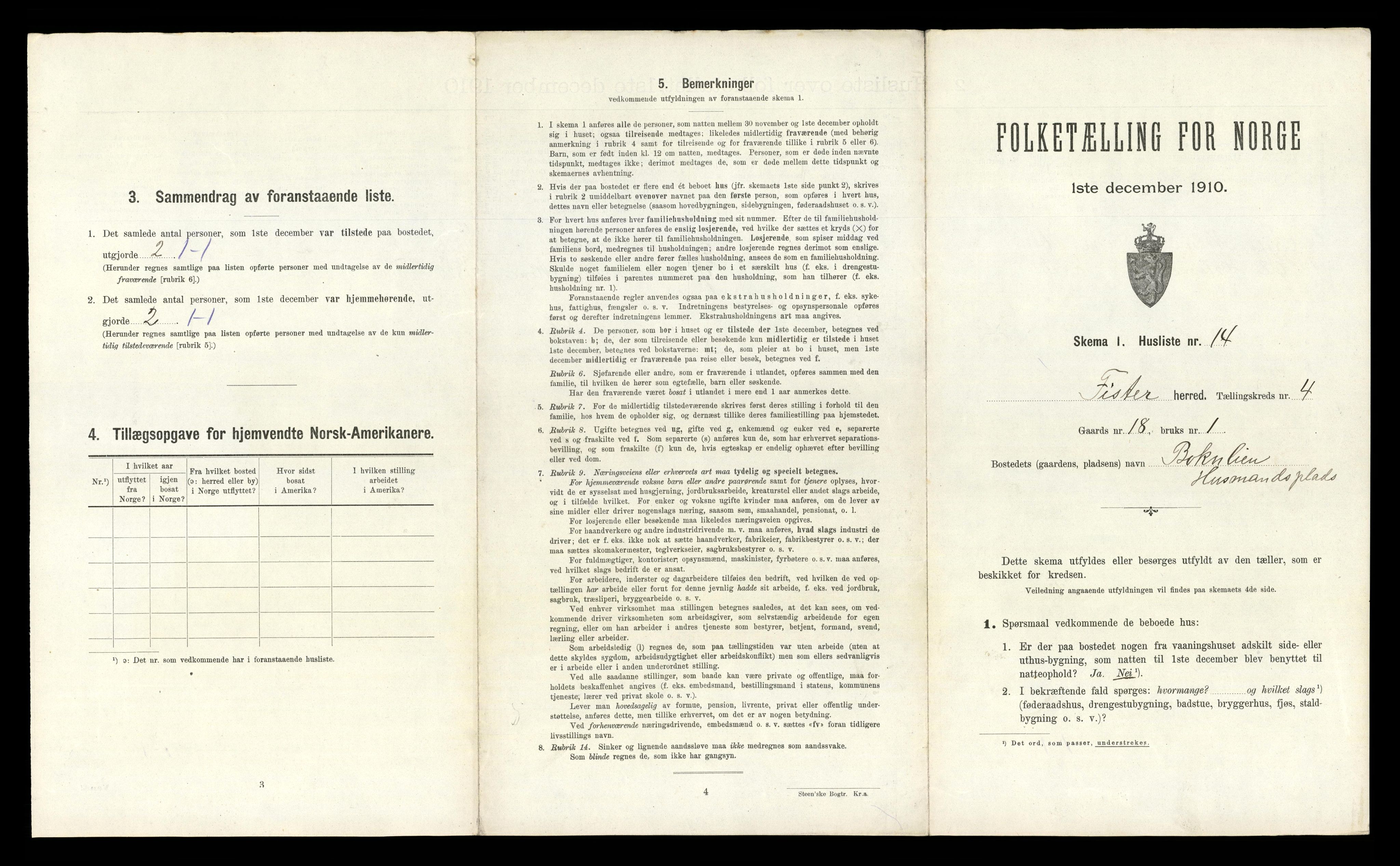 RA, 1910 census for Fister, 1910, p. 194