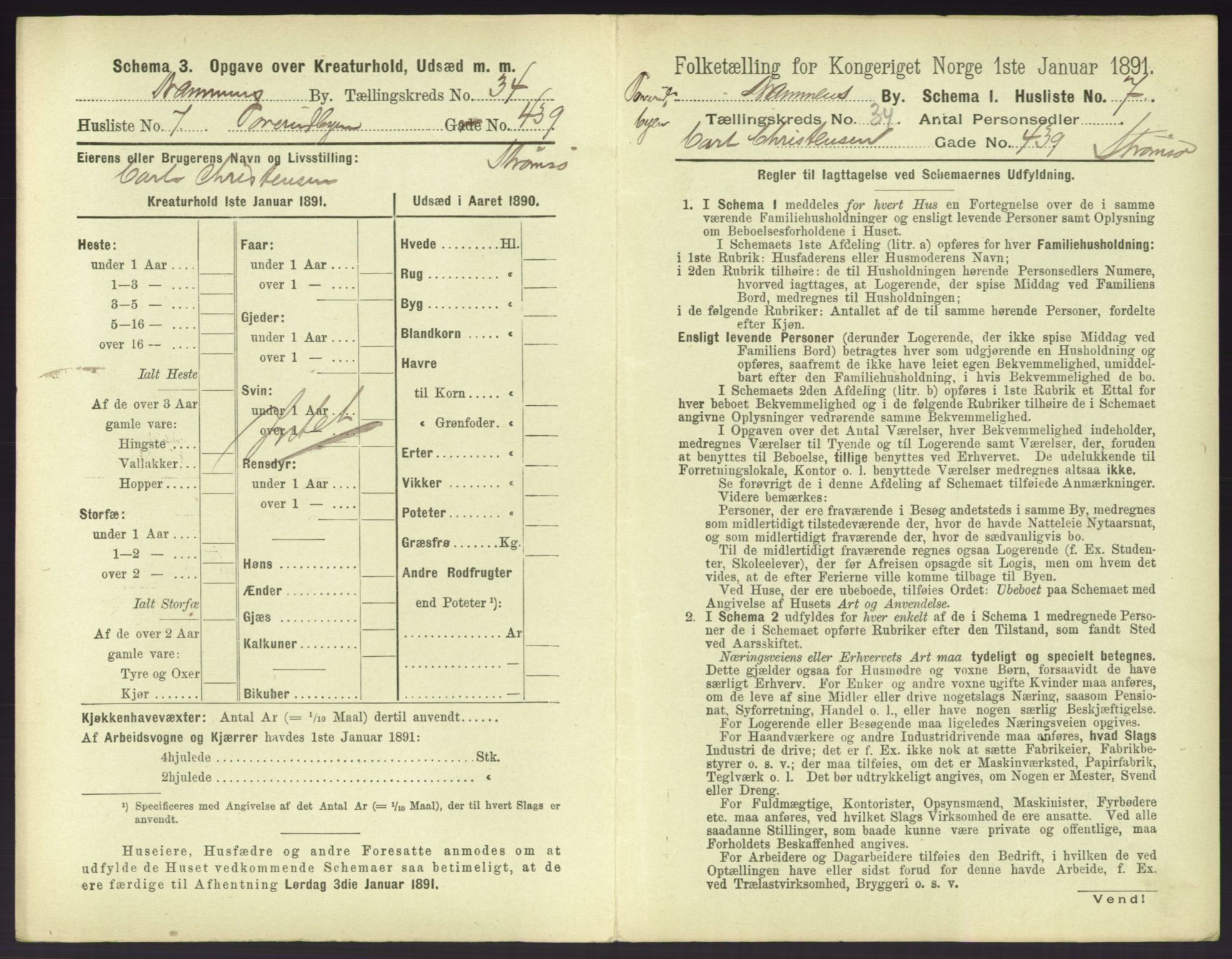 RA, 1891 census for 0602 Drammen, 1891, p. 3007