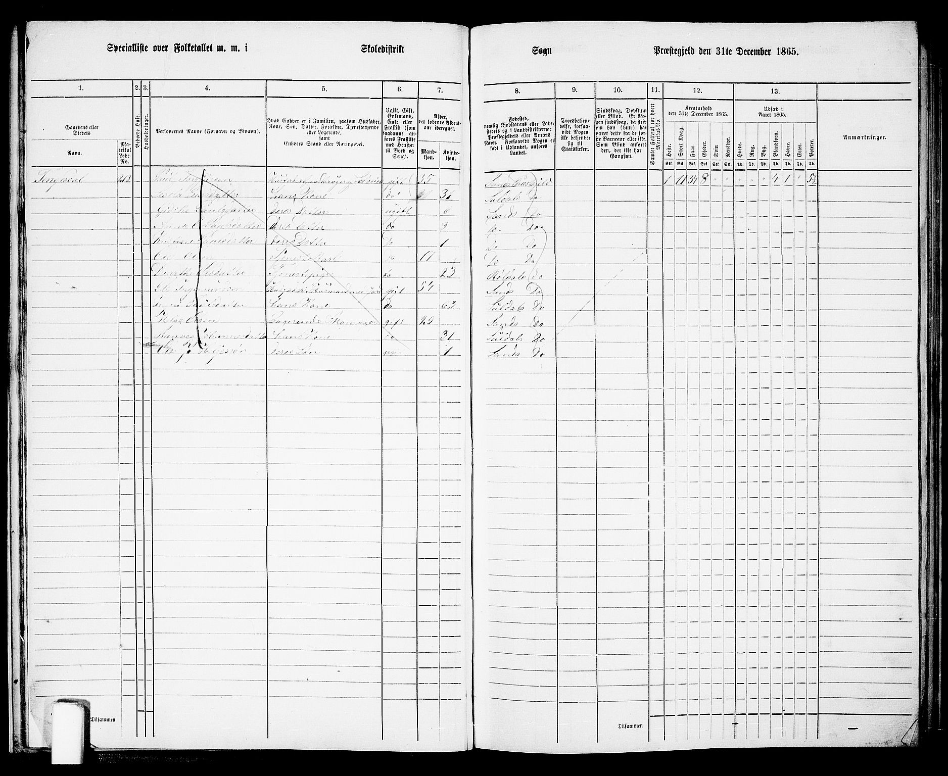 RA, 1865 census for Sand, 1865, p. 24