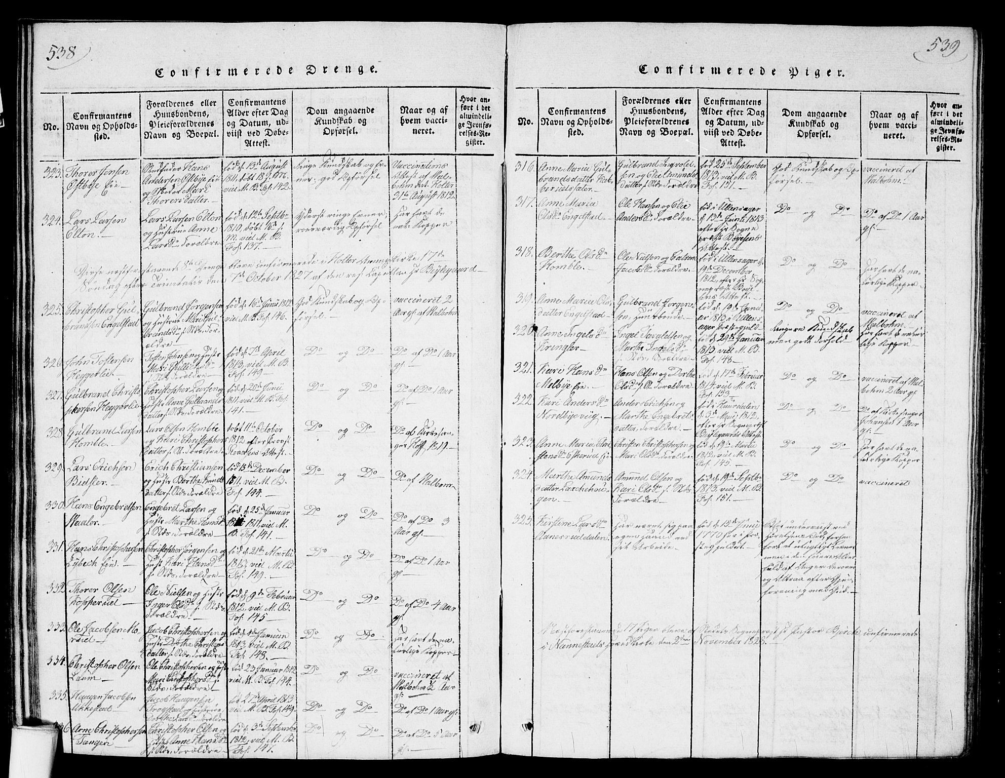 Nannestad prestekontor Kirkebøker, SAO/A-10414a/G/Ga/L0001: Parish register (copy) no. I 1, 1815-1839, p. 538-539