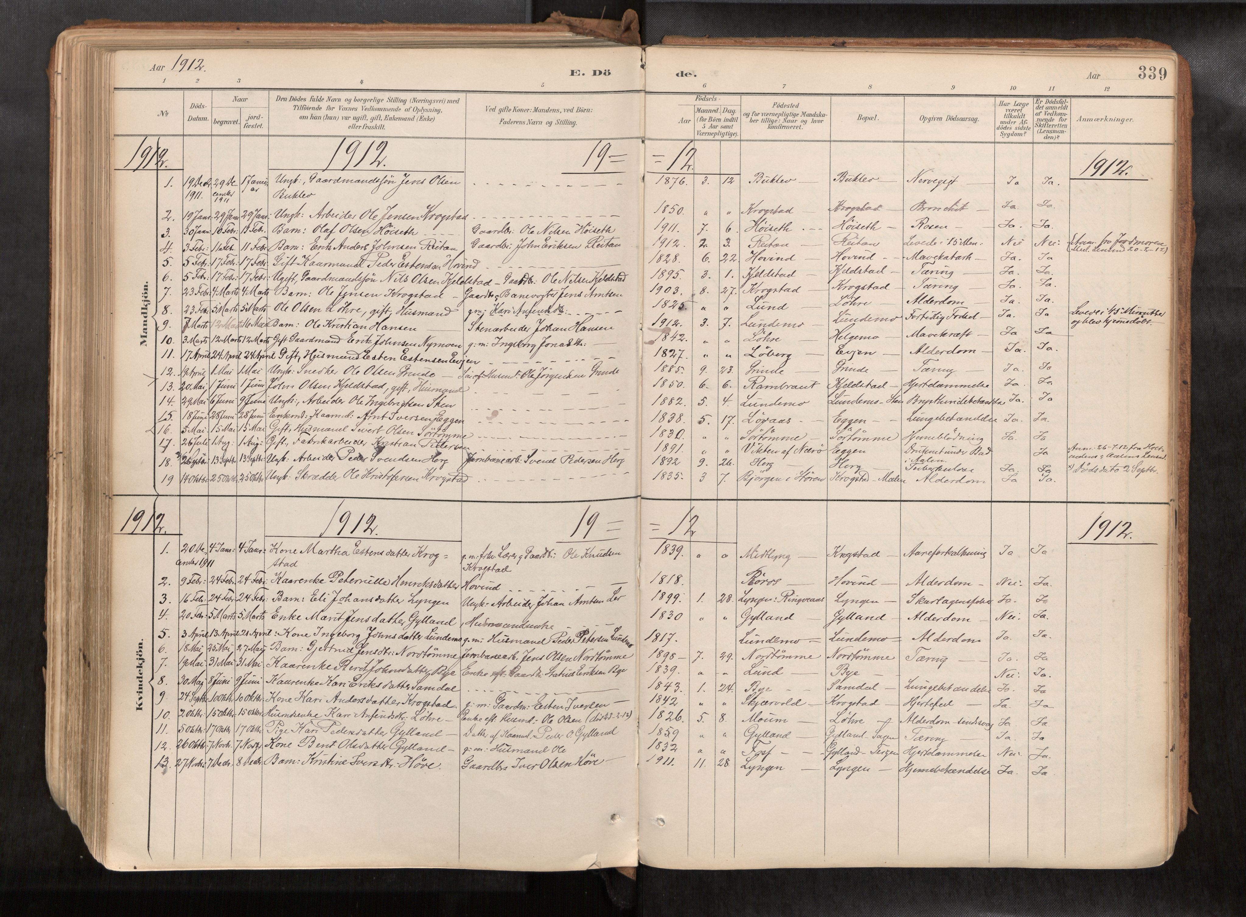 Ministerialprotokoller, klokkerbøker og fødselsregistre - Sør-Trøndelag, SAT/A-1456/692/L1105b: Parish register (official) no. 692A06, 1891-1934, p. 339
