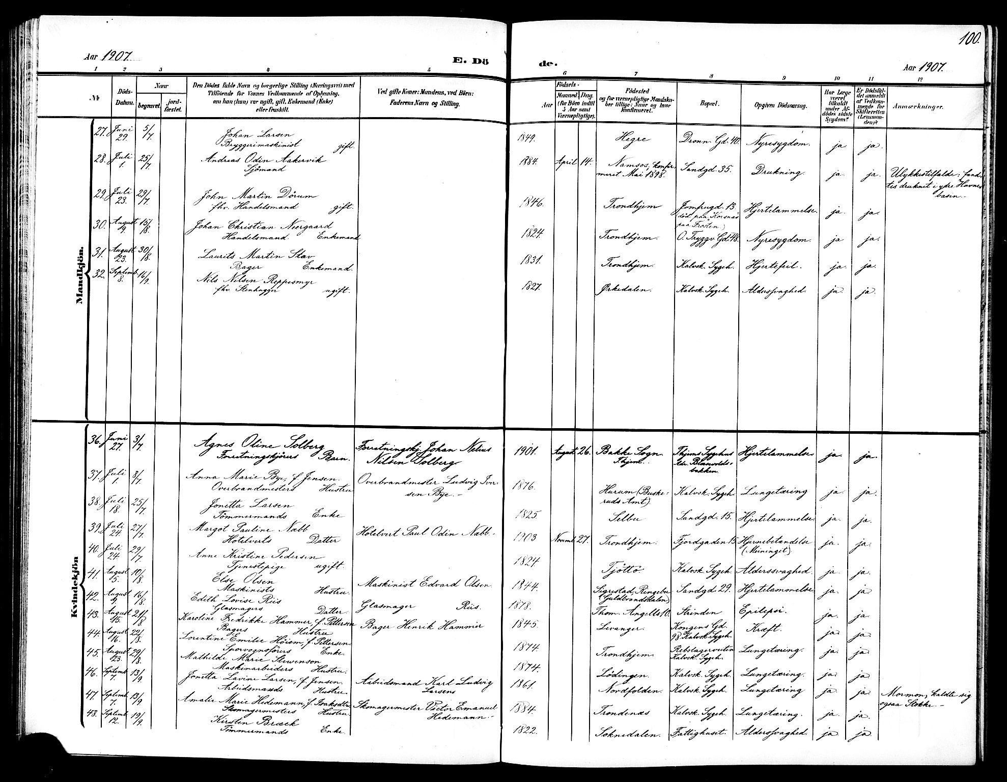 Ministerialprotokoller, klokkerbøker og fødselsregistre - Sør-Trøndelag, AV/SAT-A-1456/602/L0146: Parish register (copy) no. 602C14, 1904-1914, p. 100