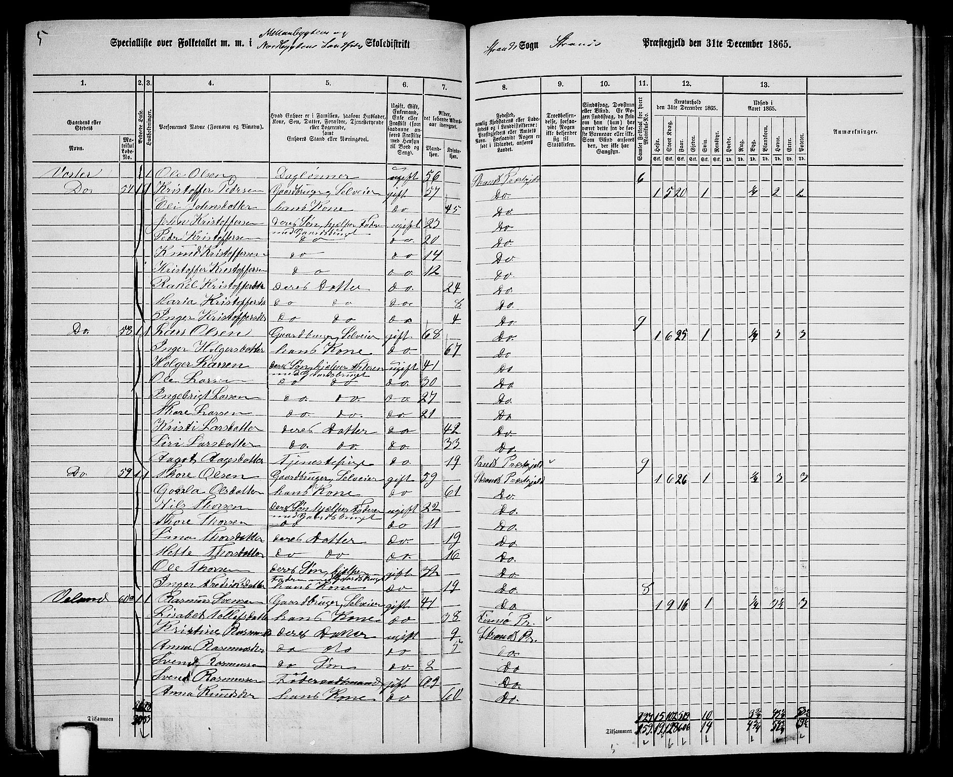 RA, 1865 census for Strand, 1865, p. 27