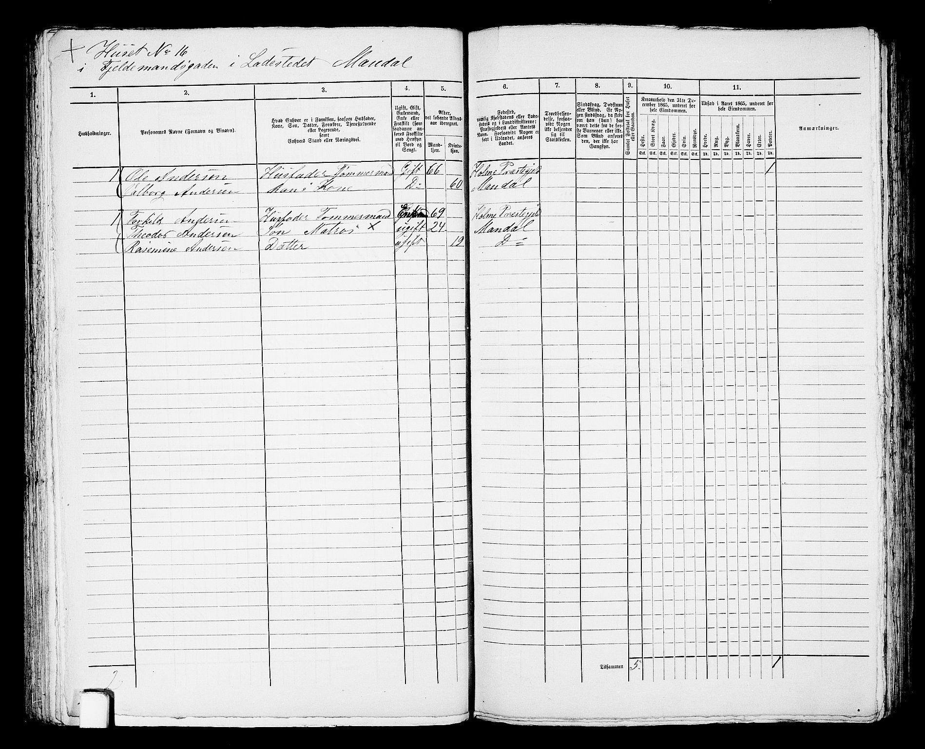 RA, 1865 census for Mandal/Mandal, 1865, p. 611