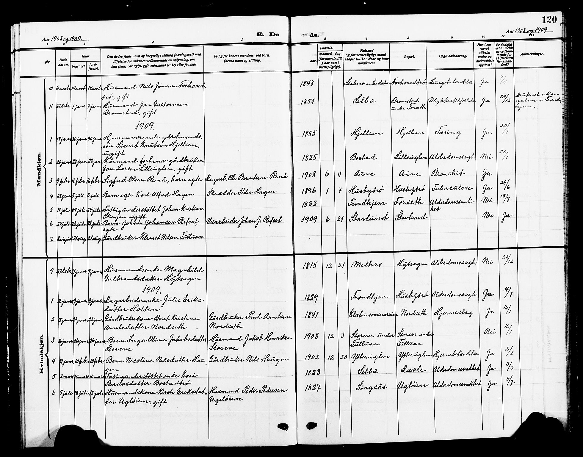 Ministerialprotokoller, klokkerbøker og fødselsregistre - Sør-Trøndelag, SAT/A-1456/618/L0453: Parish register (copy) no. 618C04, 1907-1925, p. 120