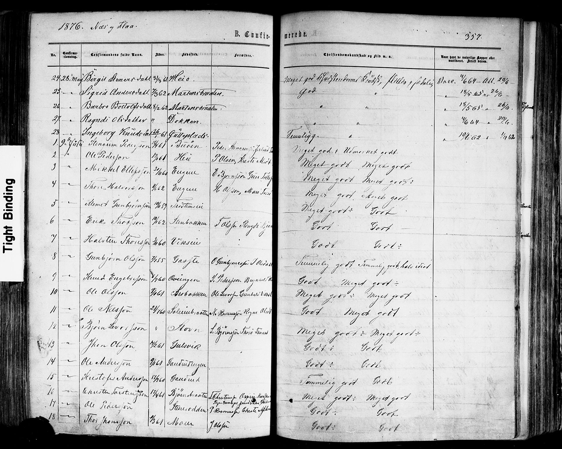 Nes kirkebøker, AV/SAKO-A-236/F/Fa/L0010: Parish register (official) no. 10, 1864-1880, p. 357