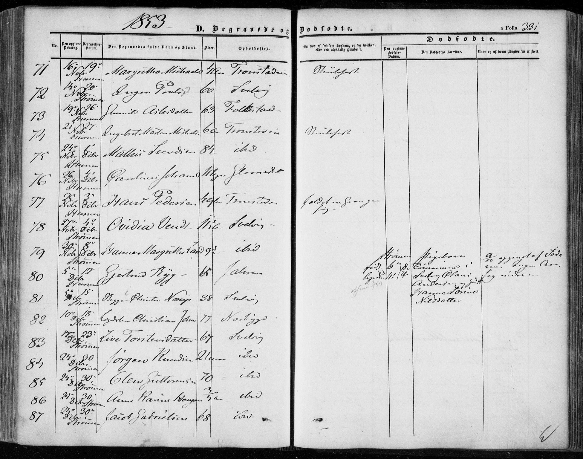 Hurum kirkebøker, AV/SAKO-A-229/F/Fa/L0011: Parish register (official) no. 11, 1847-1860, p. 331