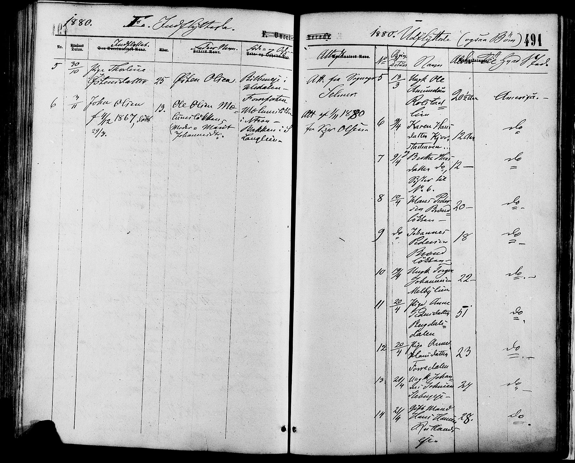 Sør-Fron prestekontor, SAH/PREST-010/H/Ha/Haa/L0002: Parish register (official) no. 2, 1864-1880, p. 491