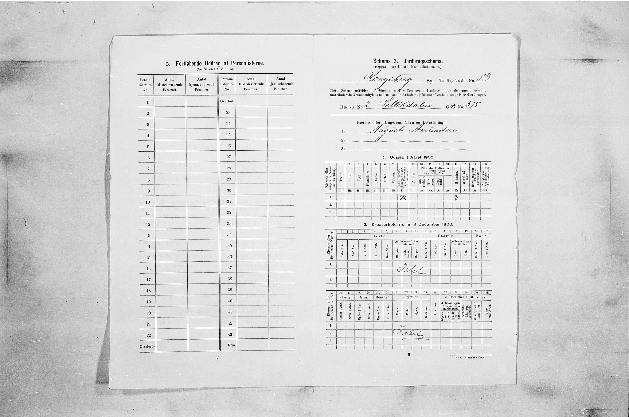 RA, 1900 census for Kongsberg, 1900, p. 2239