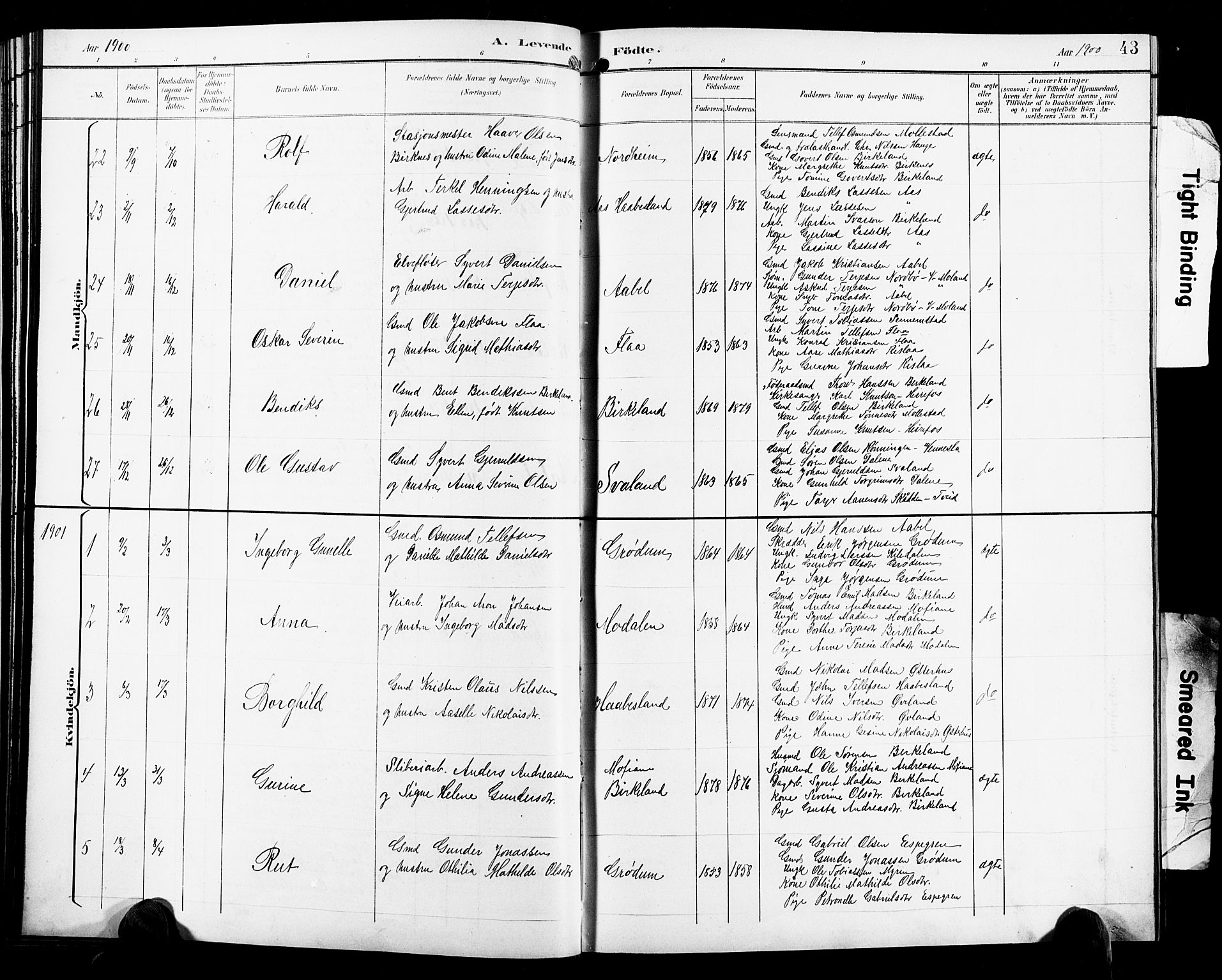 Birkenes sokneprestkontor, SAK/1111-0004/F/Fb/L0004: Parish register (copy) no. B 4, 1893-1930, p. 43