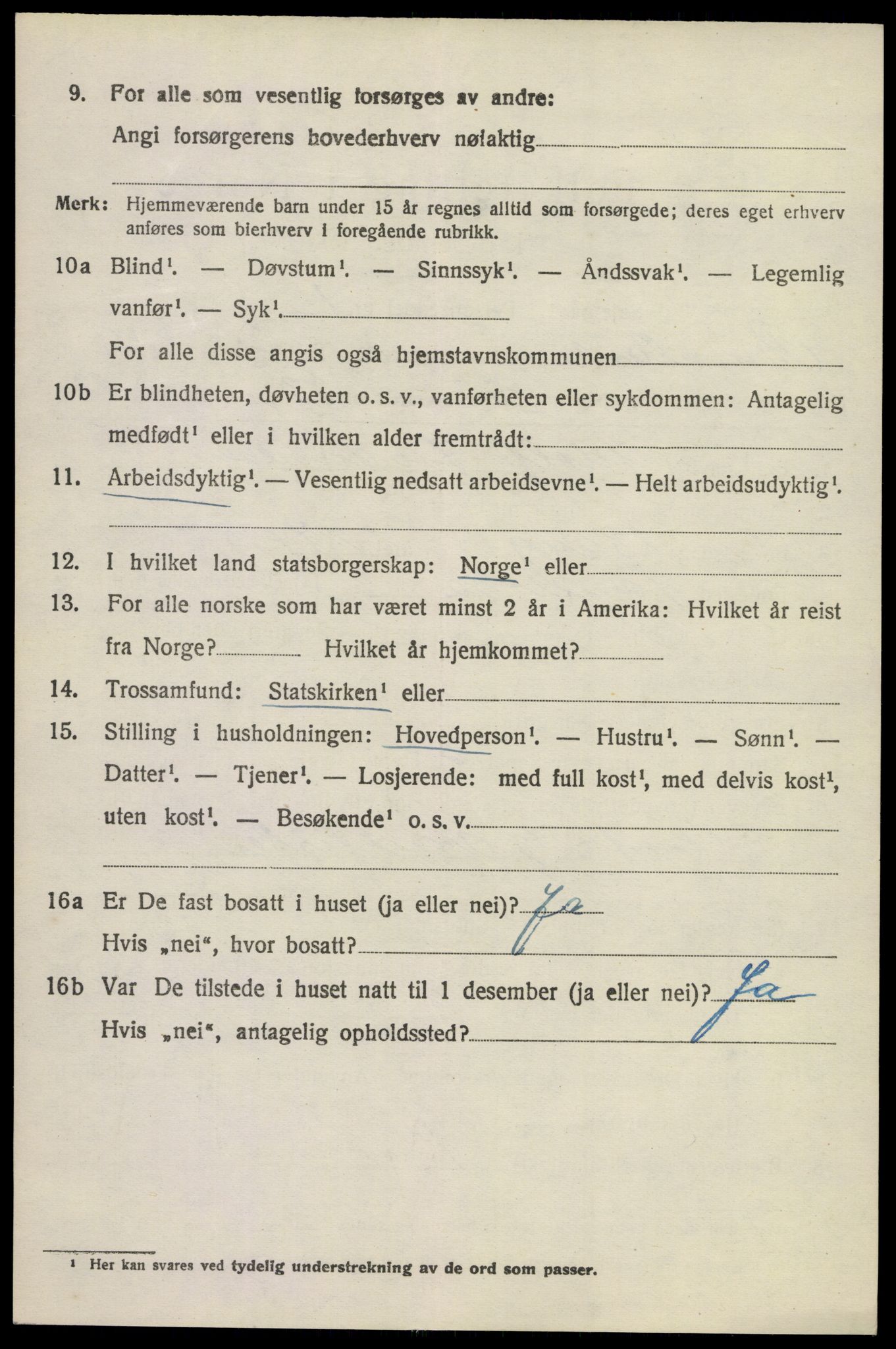 SAKO, 1920 census for Brunlanes, 1920, p. 10538