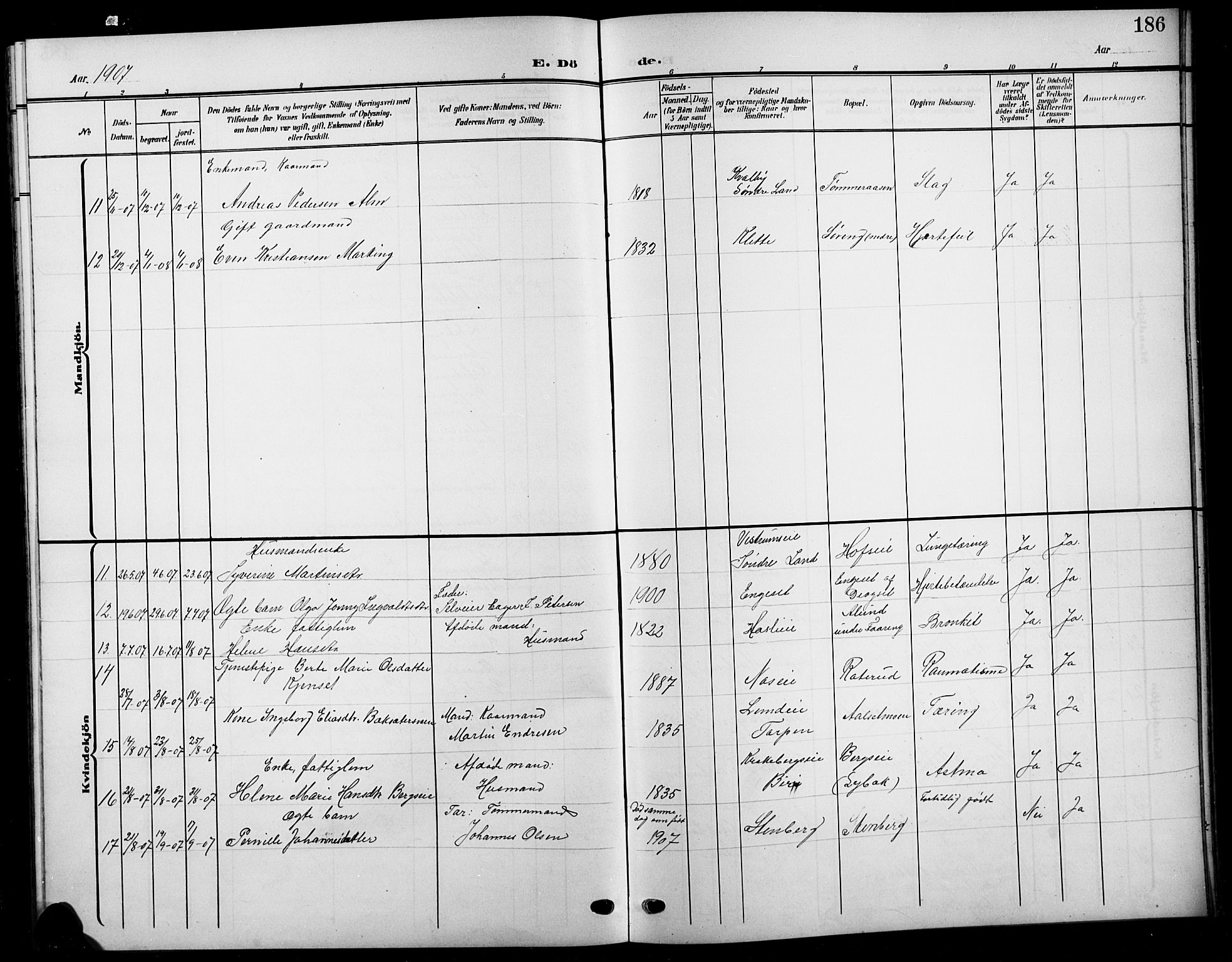 Biri prestekontor, SAH/PREST-096/H/Ha/Hab/L0005: Parish register (copy) no. 5, 1906-1919, p. 186