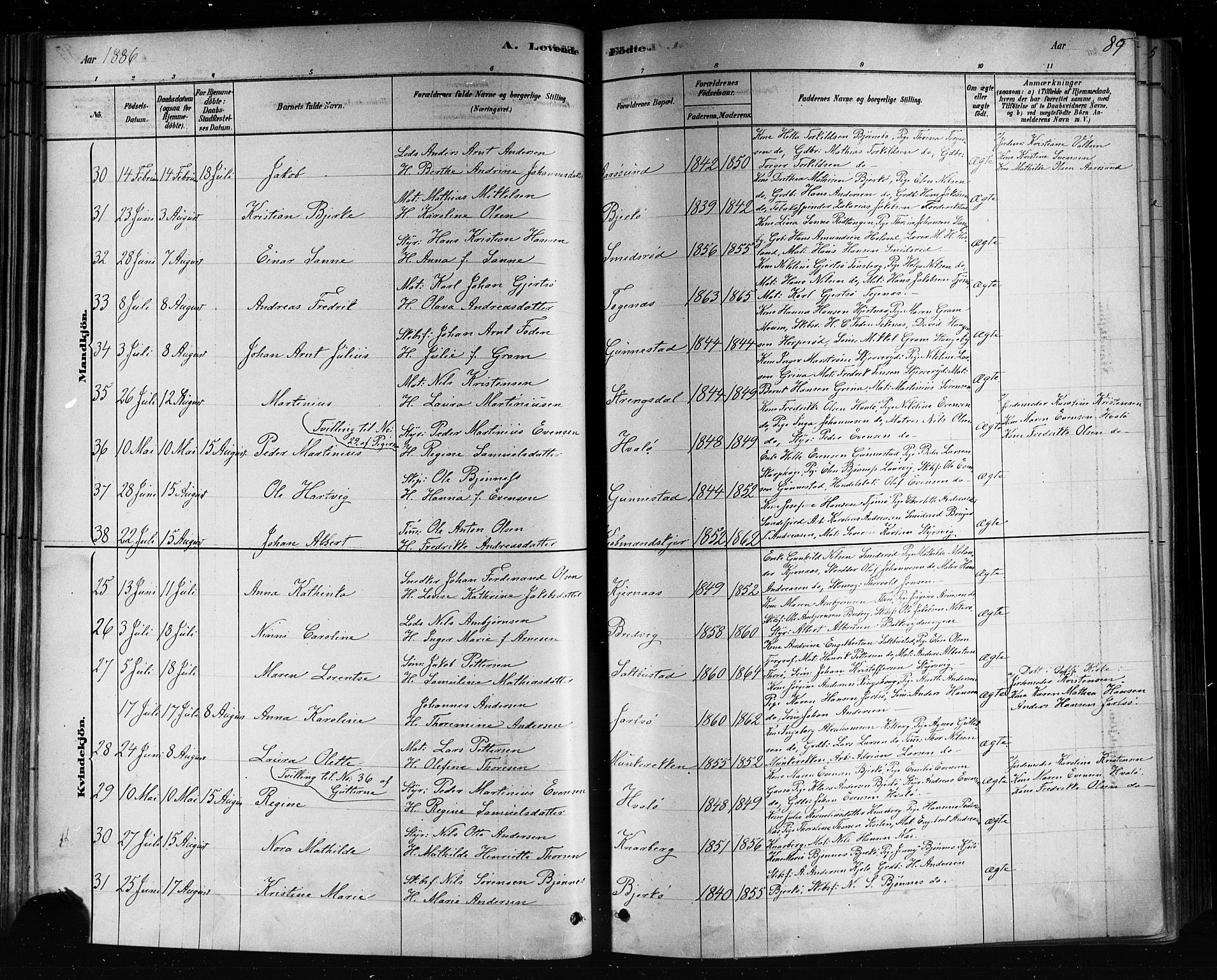 Nøtterøy kirkebøker, AV/SAKO-A-354/F/Fa/L0008: Parish register (official) no. I 8, 1878-1893, p. 89