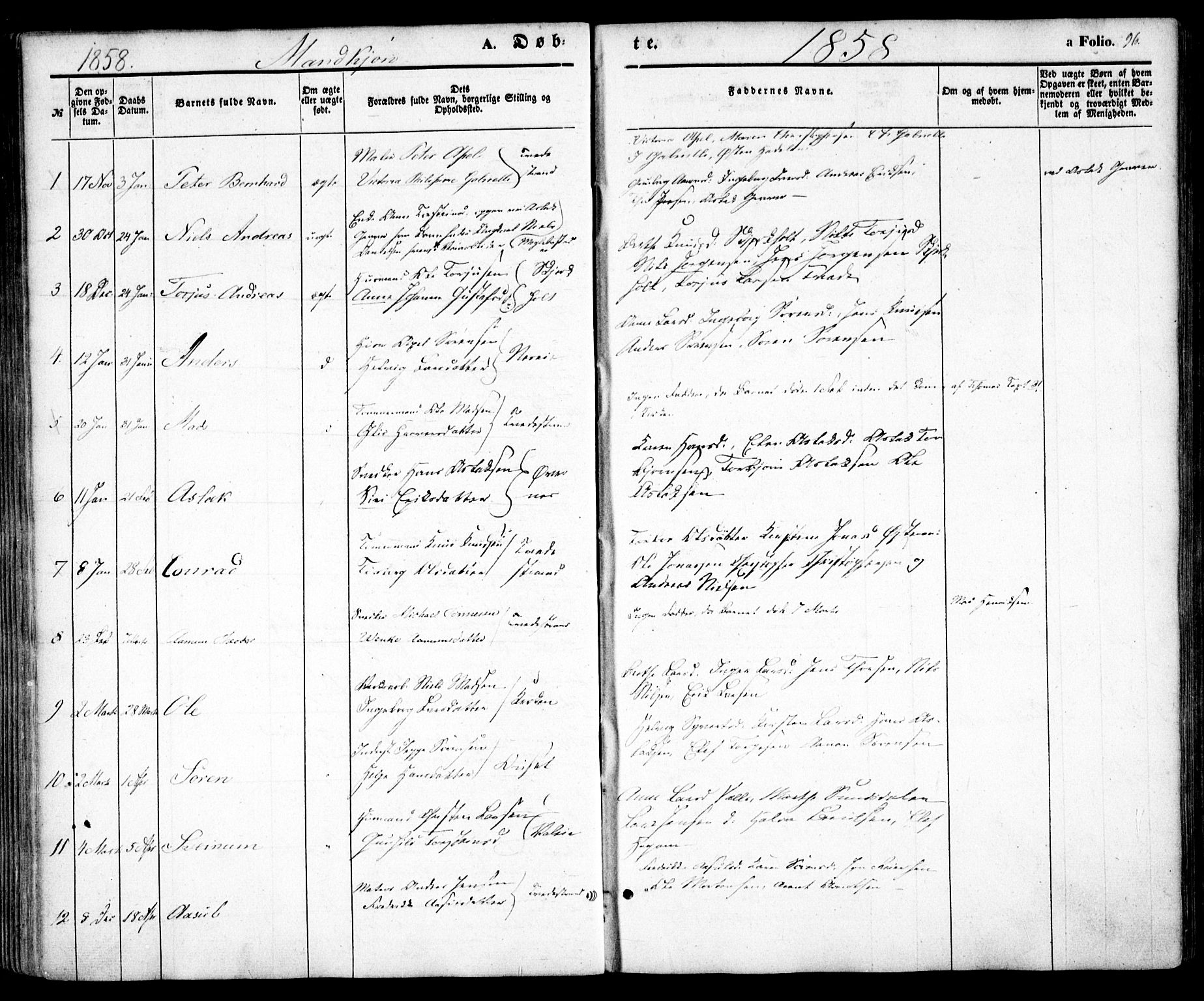 Holt sokneprestkontor, AV/SAK-1111-0021/F/Fa/L0008: Parish register (official) no. A 8, 1849-1860, p. 96