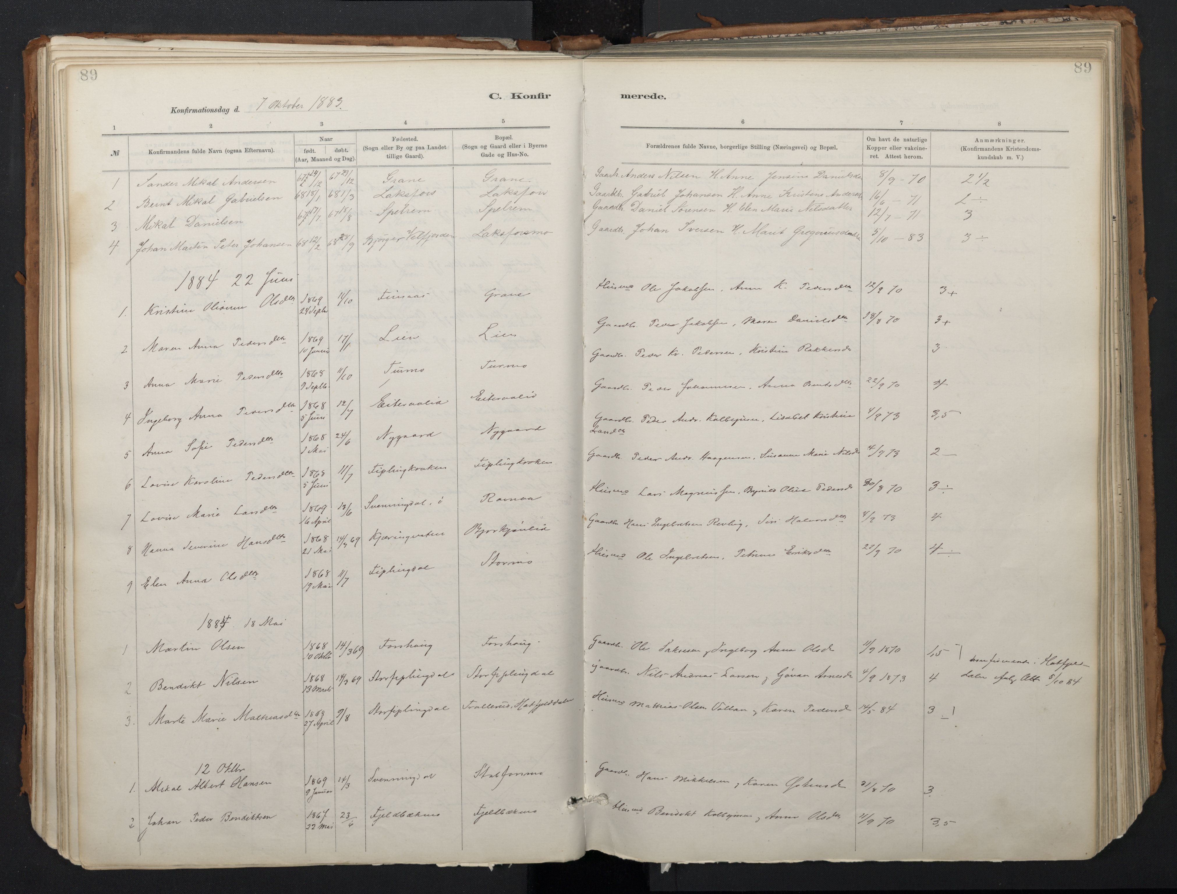 Ministerialprotokoller, klokkerbøker og fødselsregistre - Nordland, SAT/A-1459/824/L0338: Parish register (official) no. 824A01, 1880-1915, p. 89