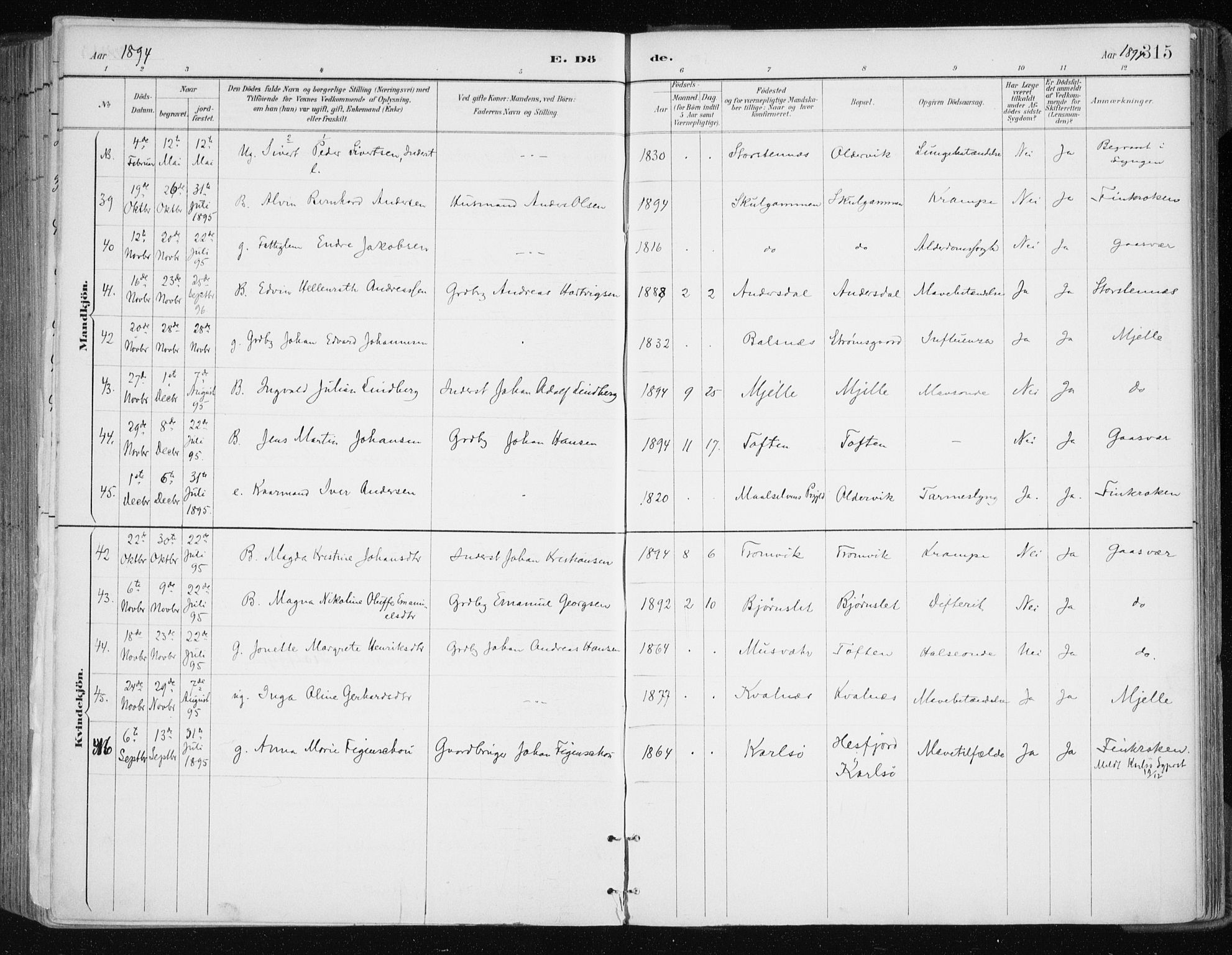 Tromsøysund sokneprestkontor, AV/SATØ-S-1304/G/Ga/L0005kirke: Parish register (official) no. 5, 1888-1896, p. 315