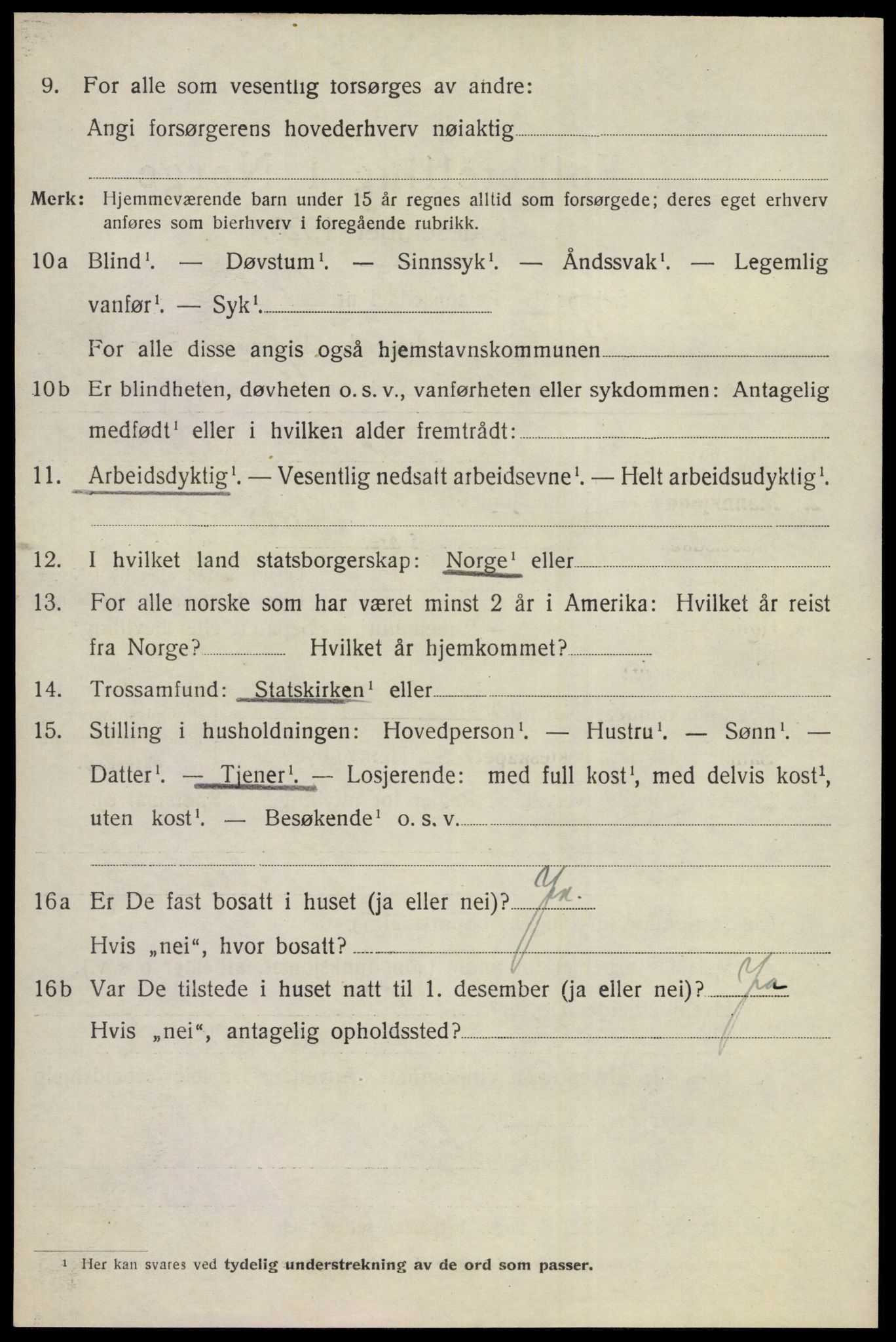 SAKO, 1920 census for Nes (Buskerud), 1920, p. 4349