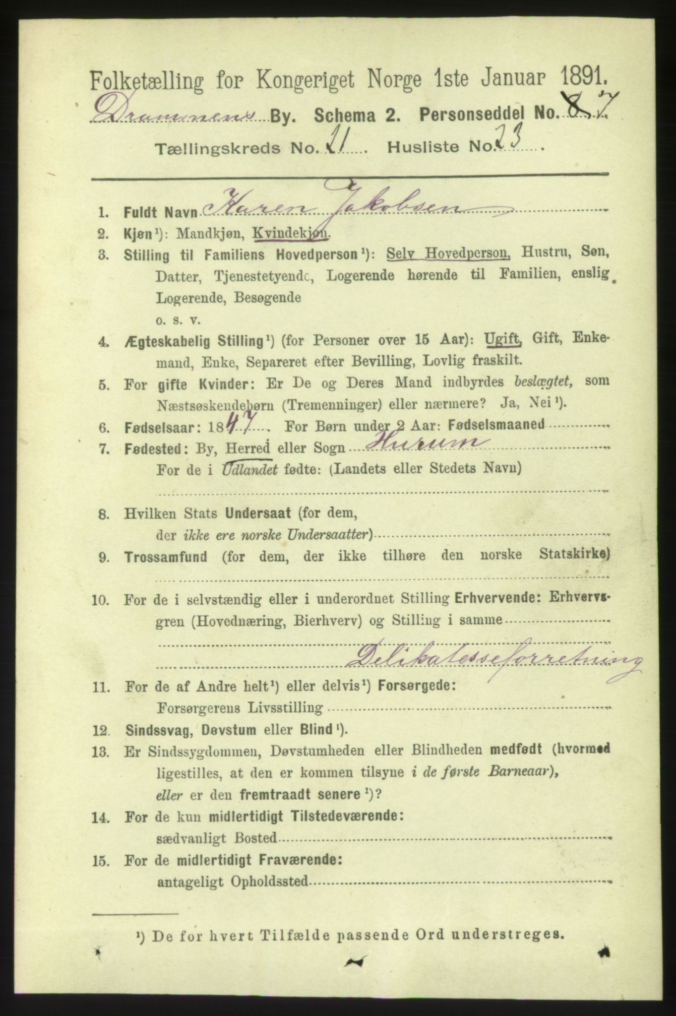 RA, 1891 census for 0602 Drammen, 1891, p. 13300