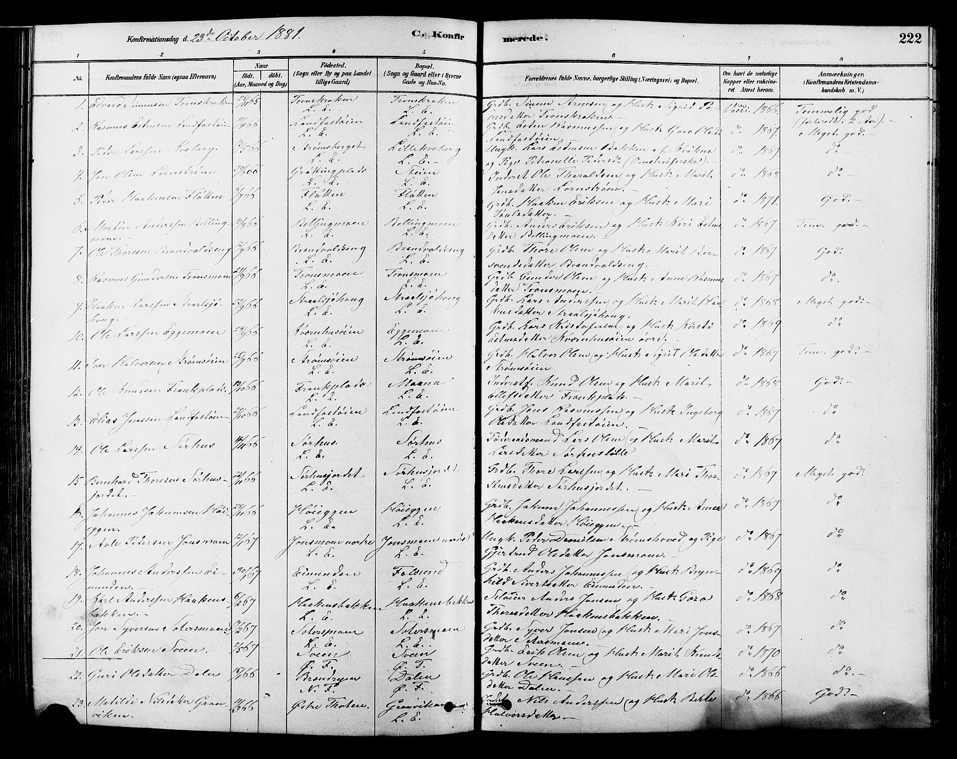Alvdal prestekontor, SAH/PREST-060/H/Ha/Hab/L0003: Parish register (copy) no. 3, 1878-1907, p. 222