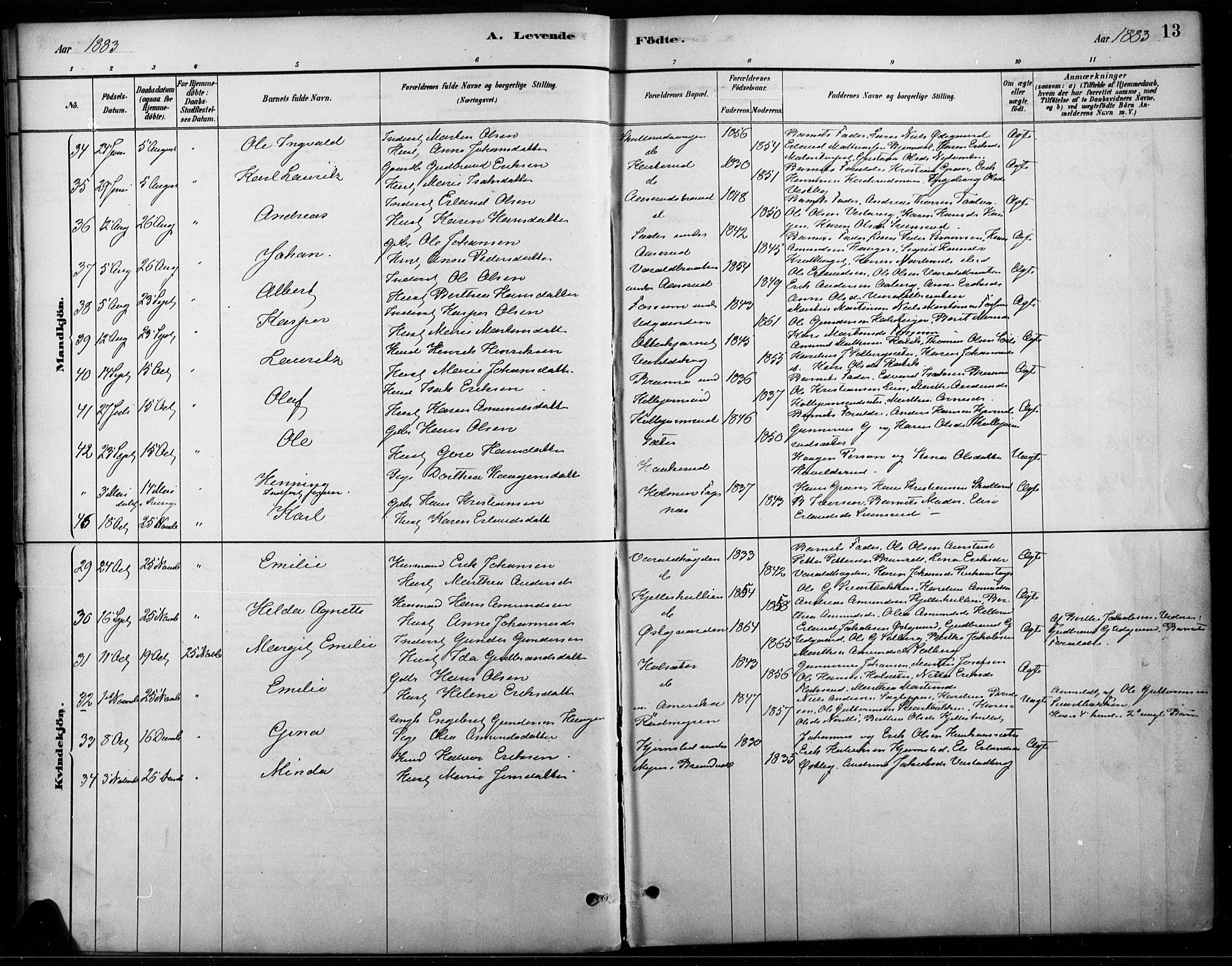 Vinger prestekontor, SAH/PREST-024/H/Ha/Haa/L0015: Parish register (official) no. 15, 1881-1900, p. 13