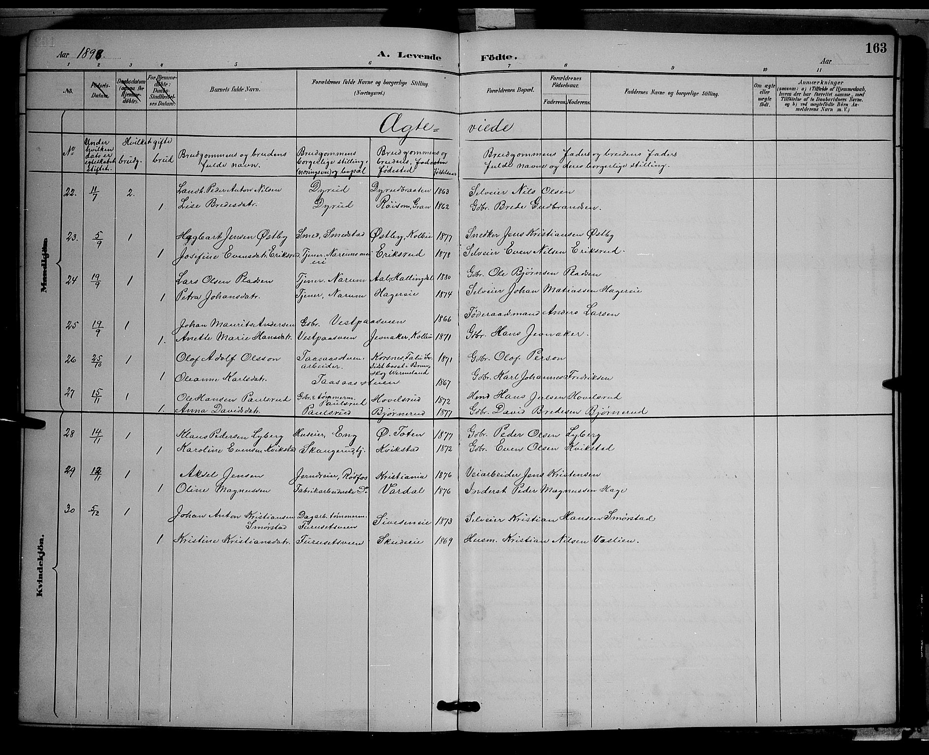 Vestre Toten prestekontor, SAH/PREST-108/H/Ha/Hab/L0009: Parish register (copy) no. 9, 1888-1900, p. 163