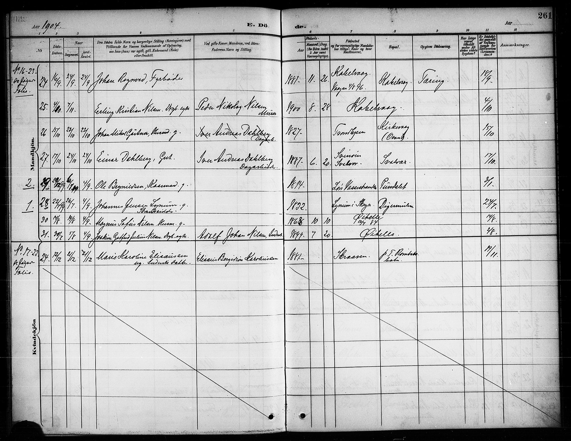 Ministerialprotokoller, klokkerbøker og fødselsregistre - Nordland, AV/SAT-A-1459/874/L1078: Parish register (copy) no. 874C07, 1900-1907, p. 261