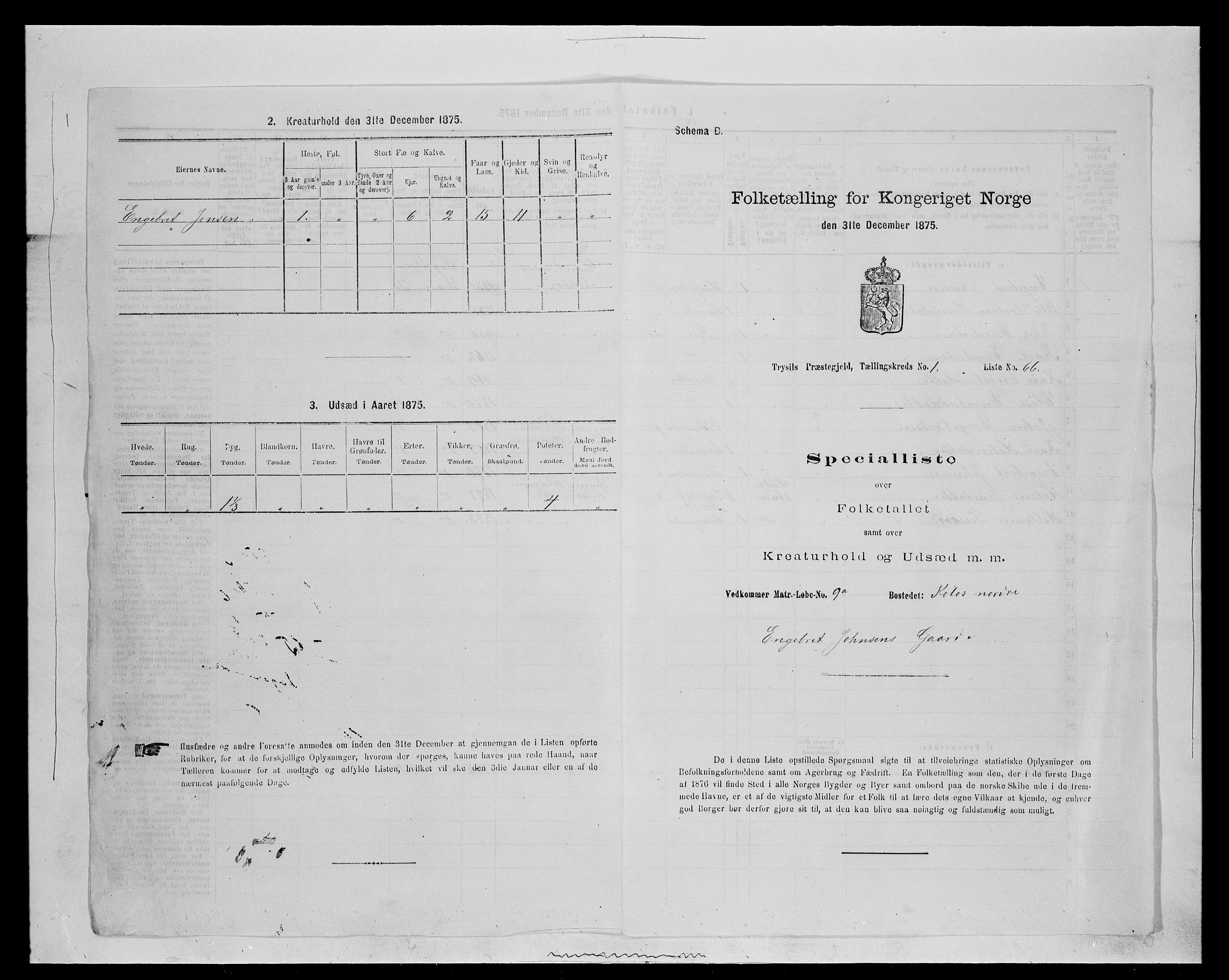 SAH, 1875 census for 0428P Trysil, 1875, p. 257