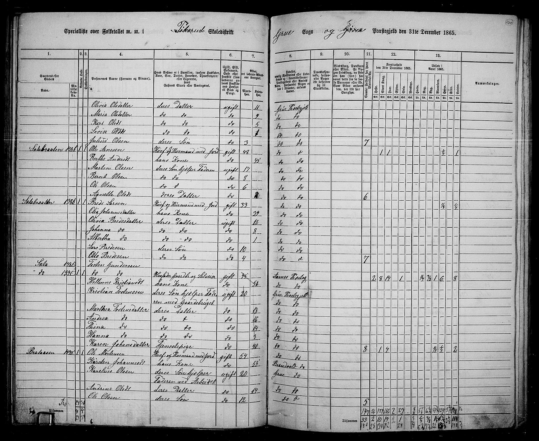 RA, 1865 census for Grue, 1865, p. 139