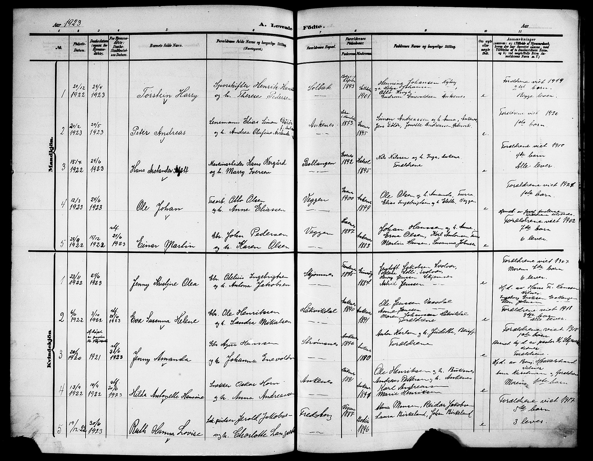 Ministerialprotokoller, klokkerbøker og fødselsregistre - Nordland, SAT/A-1459/866/L0954: Parish register (copy) no. 866C03, 1905-1923