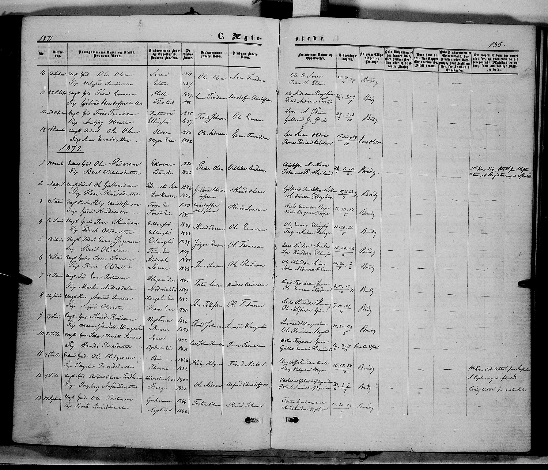Vang prestekontor, Valdres, SAH/PREST-140/H/Ha/L0007: Parish register (official) no. 7, 1865-1881, p. 135