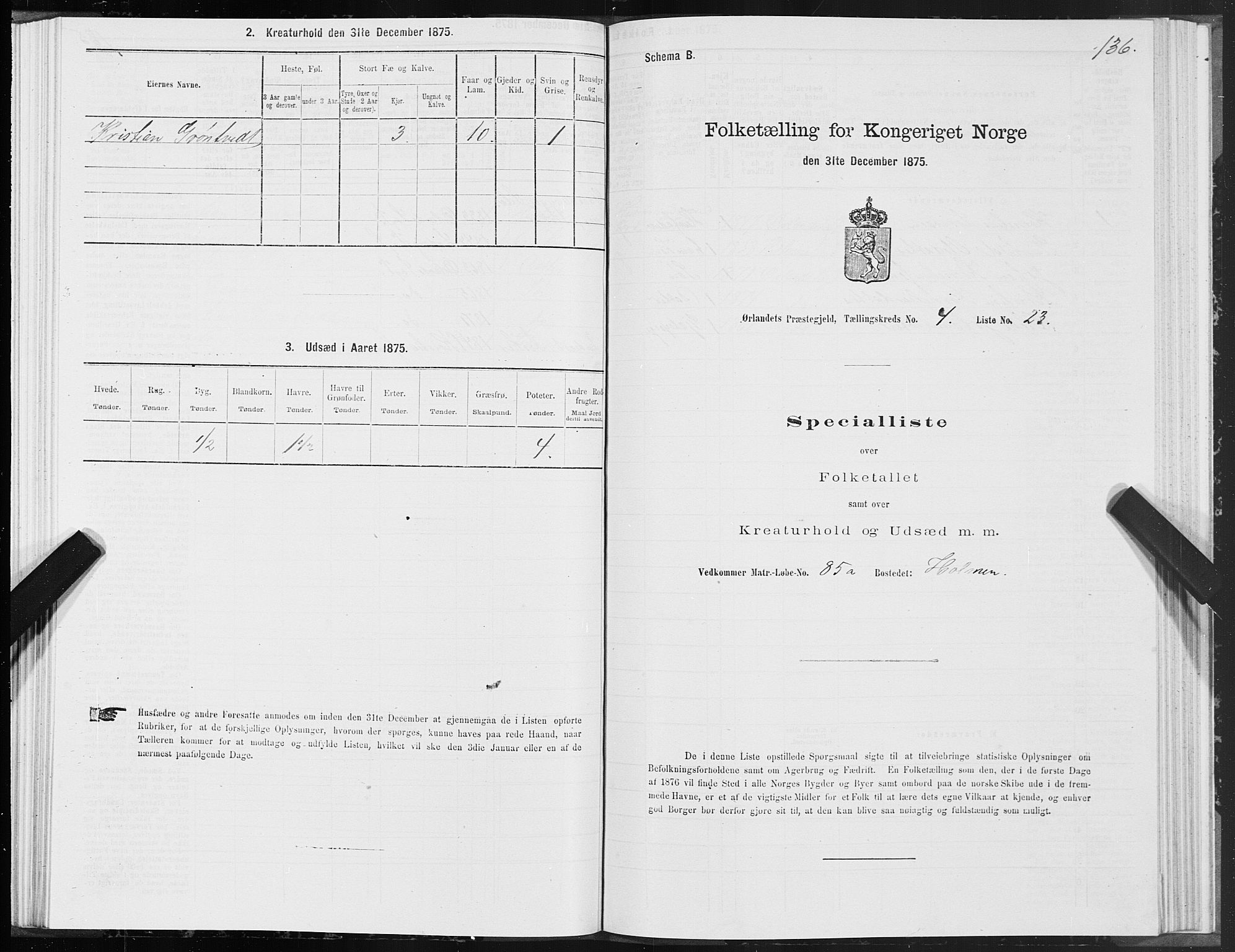 SAT, 1875 census for 1621P Ørland, 1875, p. 2136
