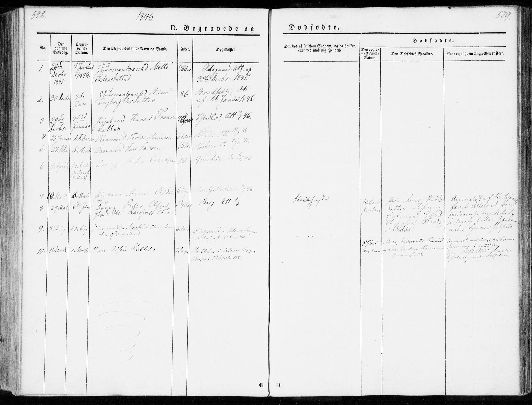 Ministerialprotokoller, klokkerbøker og fødselsregistre - Møre og Romsdal, SAT/A-1454/557/L0680: Parish register (official) no. 557A02, 1843-1869, p. 528-529