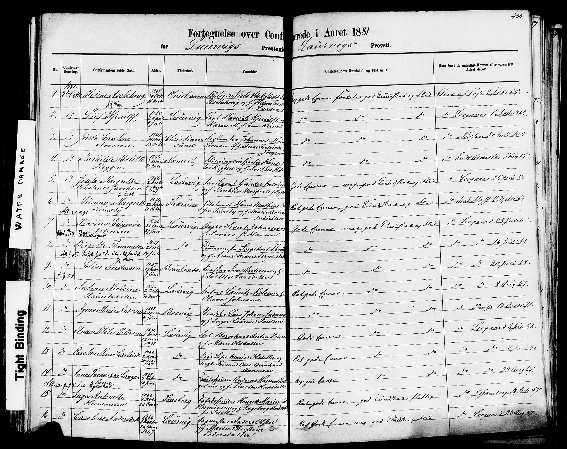 Larvik kirkebøker, AV/SAKO-A-352/F/Fa/L0006: Parish register (official) no. I 6, 1871-1883, p. 450