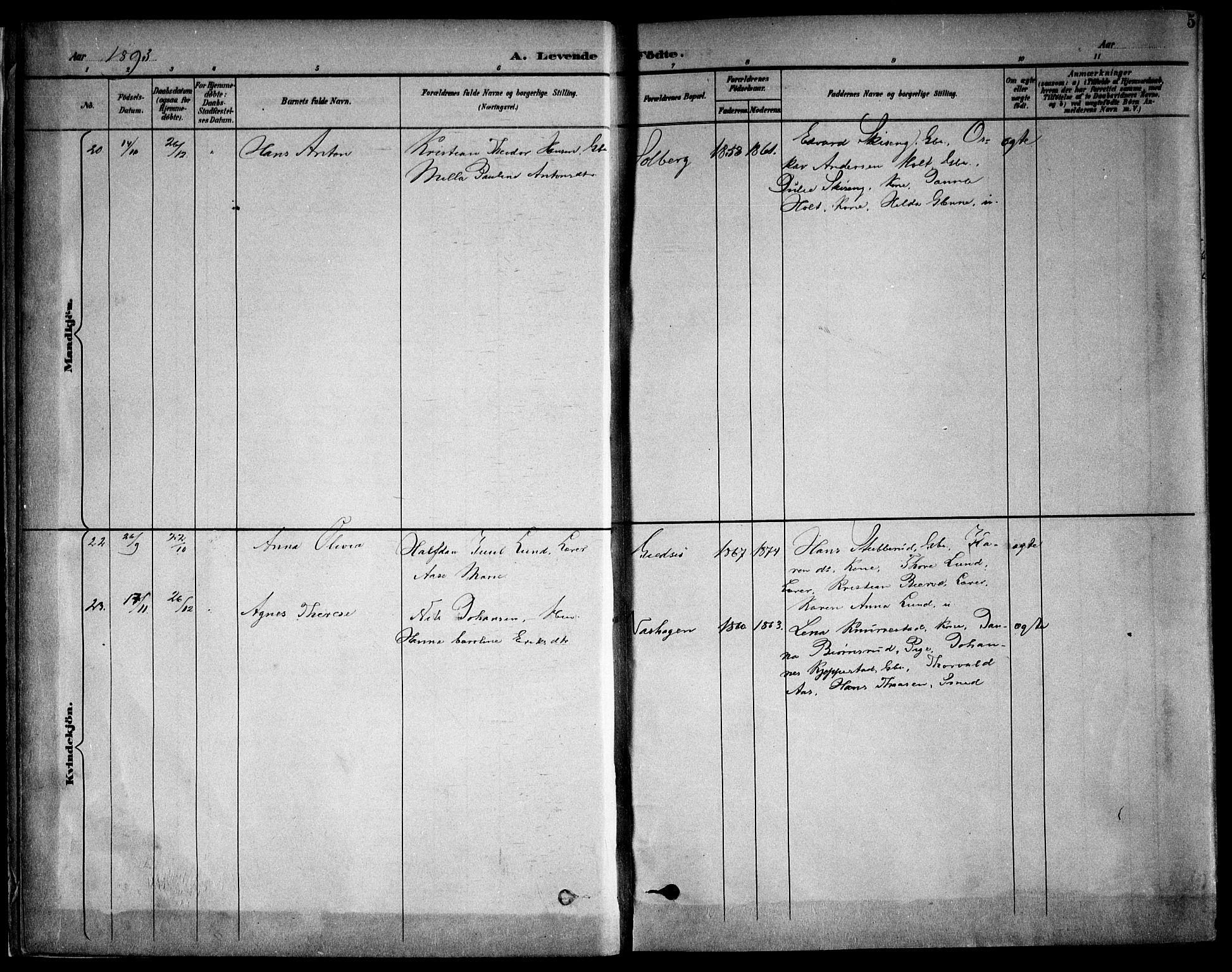 Kråkstad prestekontor Kirkebøker, AV/SAO-A-10125a/F/Fb/L0002: Parish register (official) no. II 2, 1893-1917, p. 5