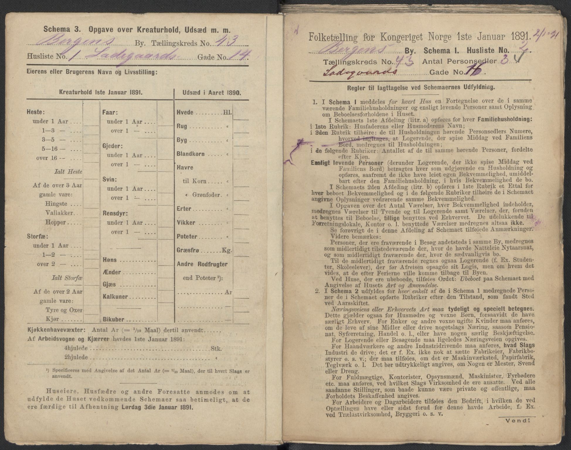 RA, 1891 Census for 1301 Bergen, 1891, p. 7178