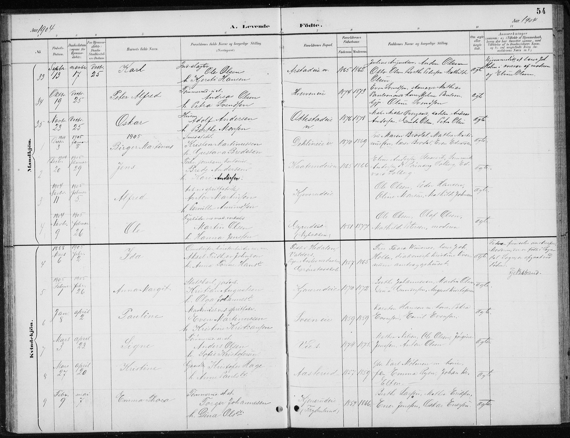 Stange prestekontor, AV/SAH-PREST-002/L/L0010: Parish register (copy) no. 10, 1894-1905, p. 54