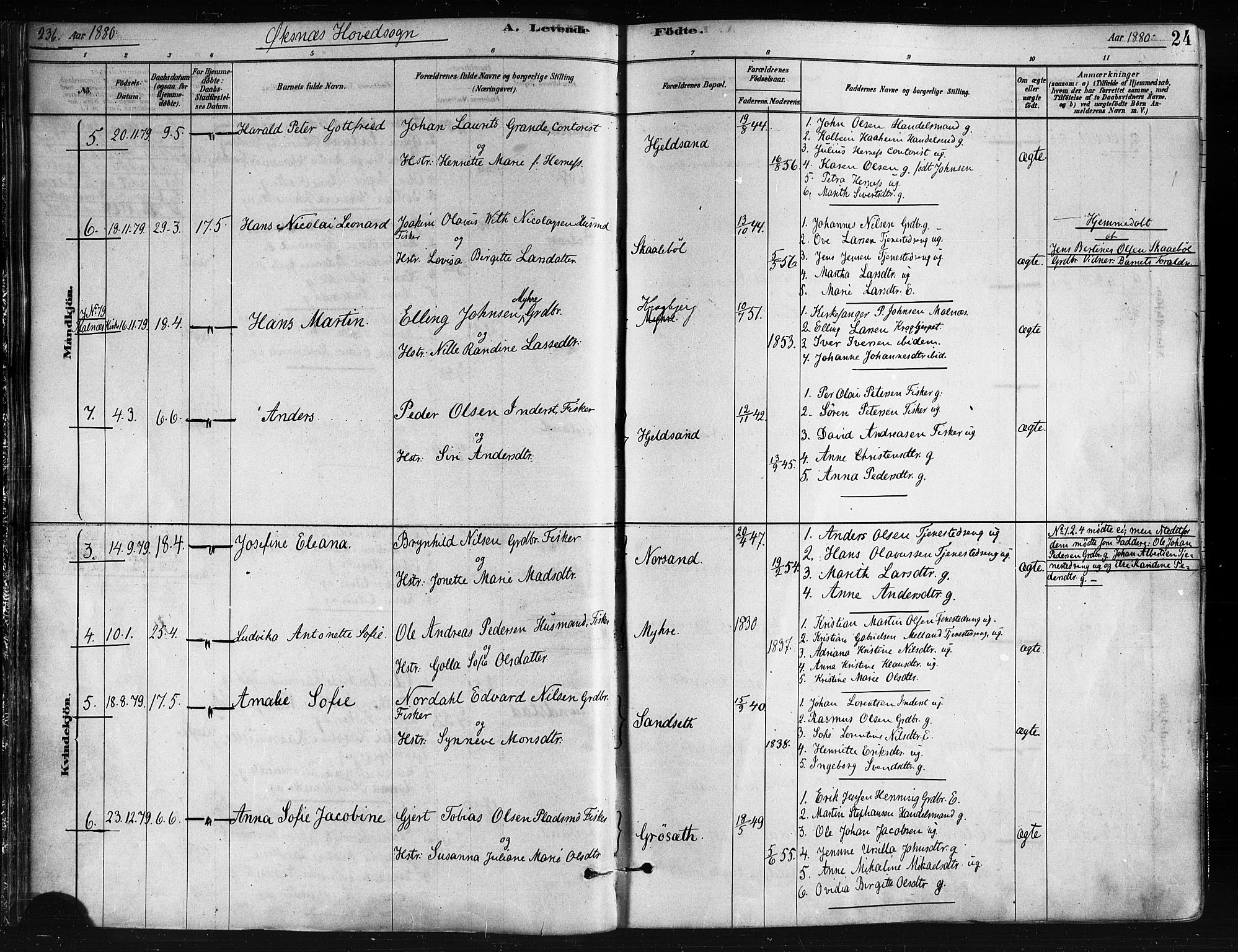 Ministerialprotokoller, klokkerbøker og fødselsregistre - Nordland, SAT/A-1459/893/L1335: Parish register (official) no. 893A08 /1, 1878-1884, p. 24