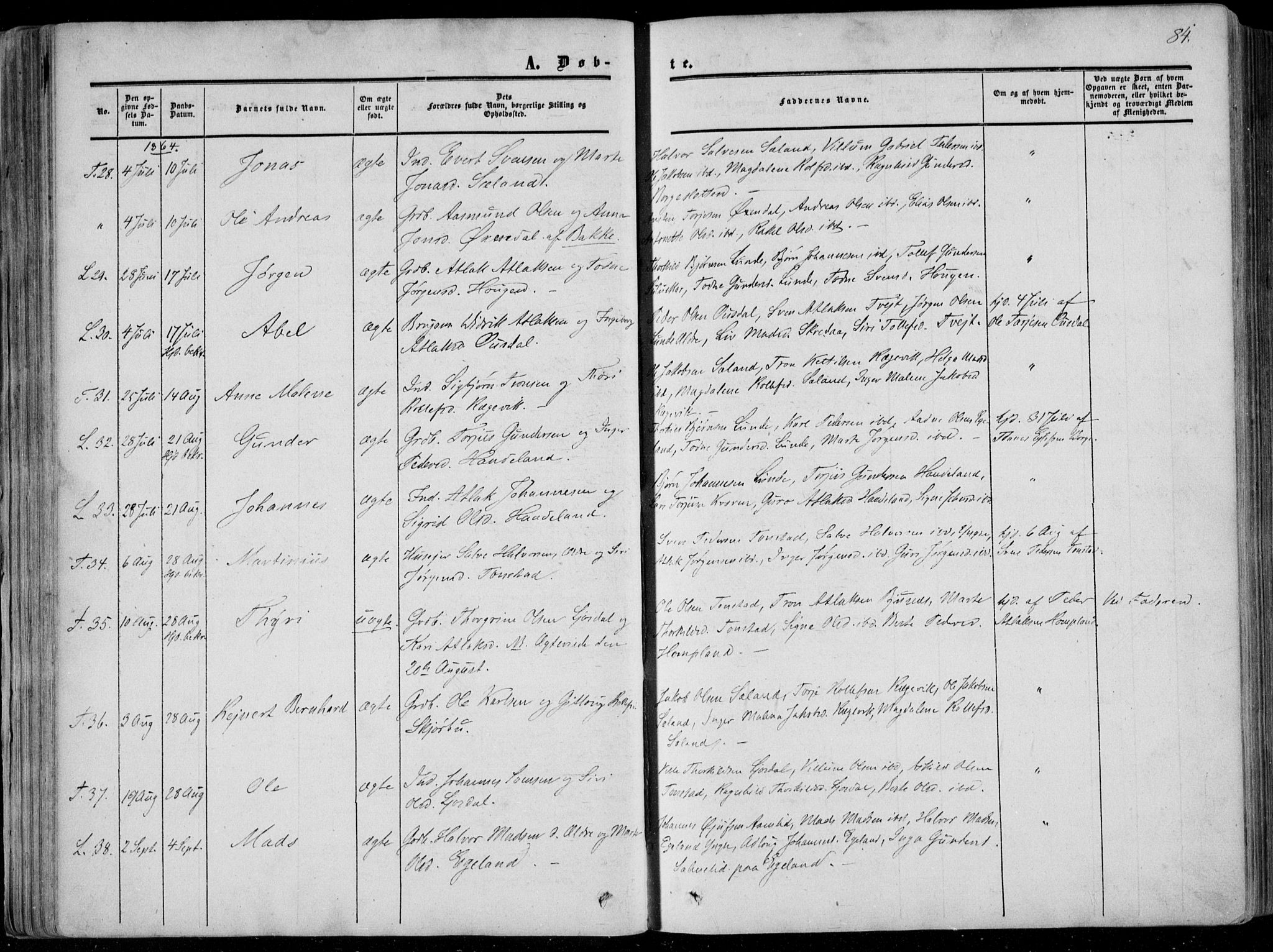 Sirdal sokneprestkontor, SAK/1111-0036/F/Fa/Fab/L0002: Parish register (official) no. A 2, 1855-1874, p. 84