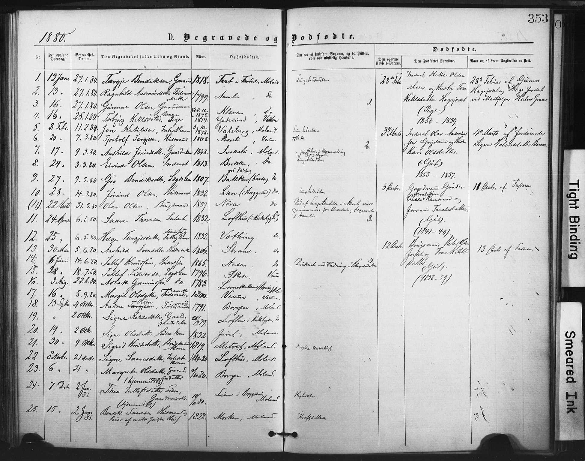 Fyresdal kirkebøker, SAKO/A-263/F/Fa/L0006: Parish register (official) no. I 6, 1872-1886, p. 353