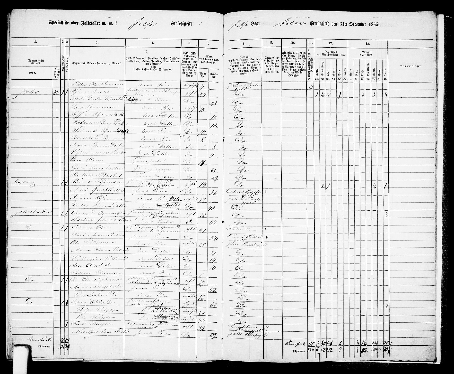 RA, 1865 census for Jelsa, 1865, p. 117