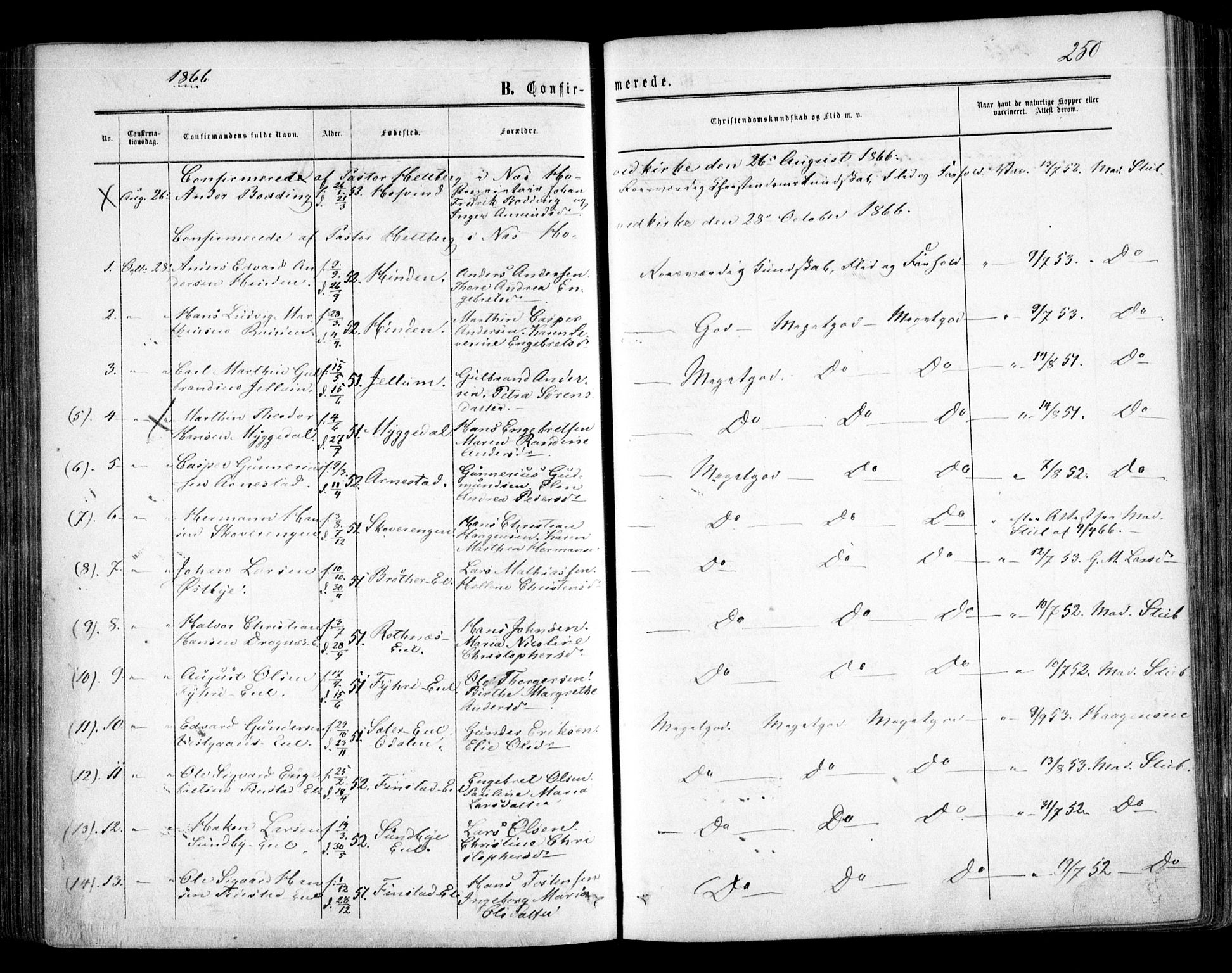 Nes prestekontor Kirkebøker, AV/SAO-A-10410/F/Fa/L0008: Parish register (official) no. I 8, 1859-1874, p. 250