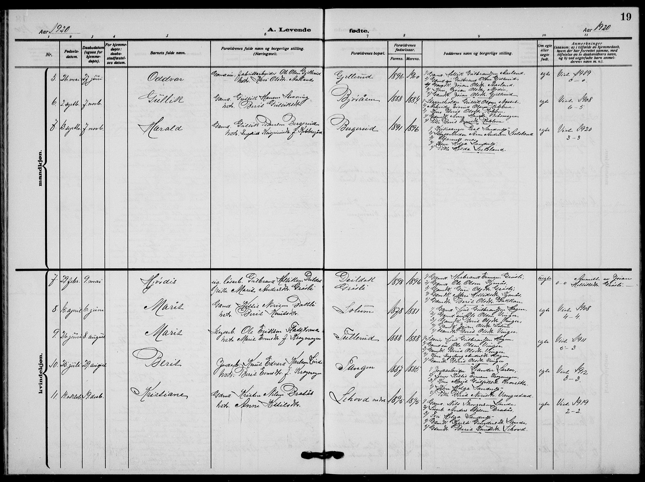 Flesberg kirkebøker, AV/SAKO-A-18/G/Ga/L0006: Parish register (copy) no. I 6, 1909-1924, p. 19