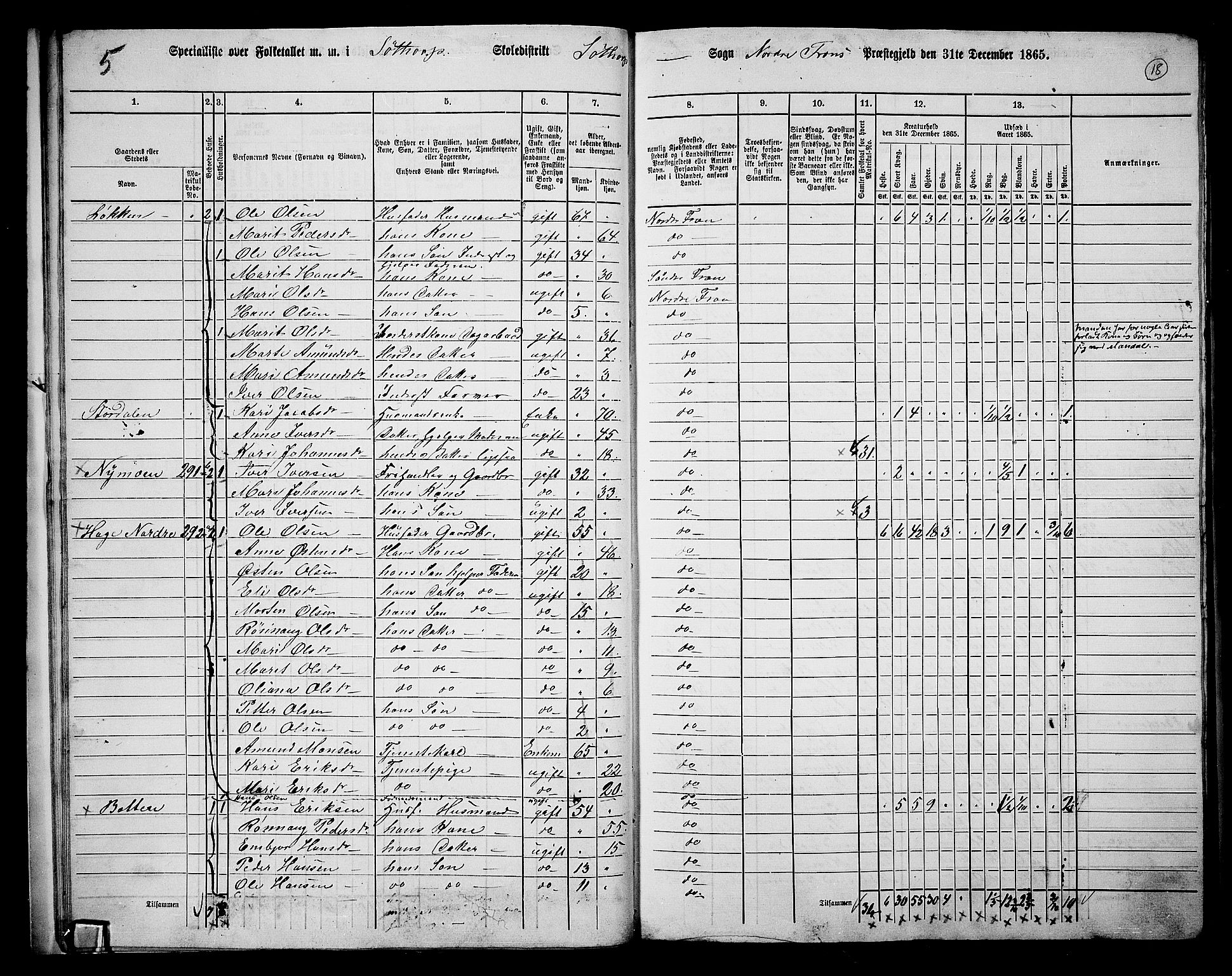 RA, 1865 census for Nord-Fron, 1865, p. 17