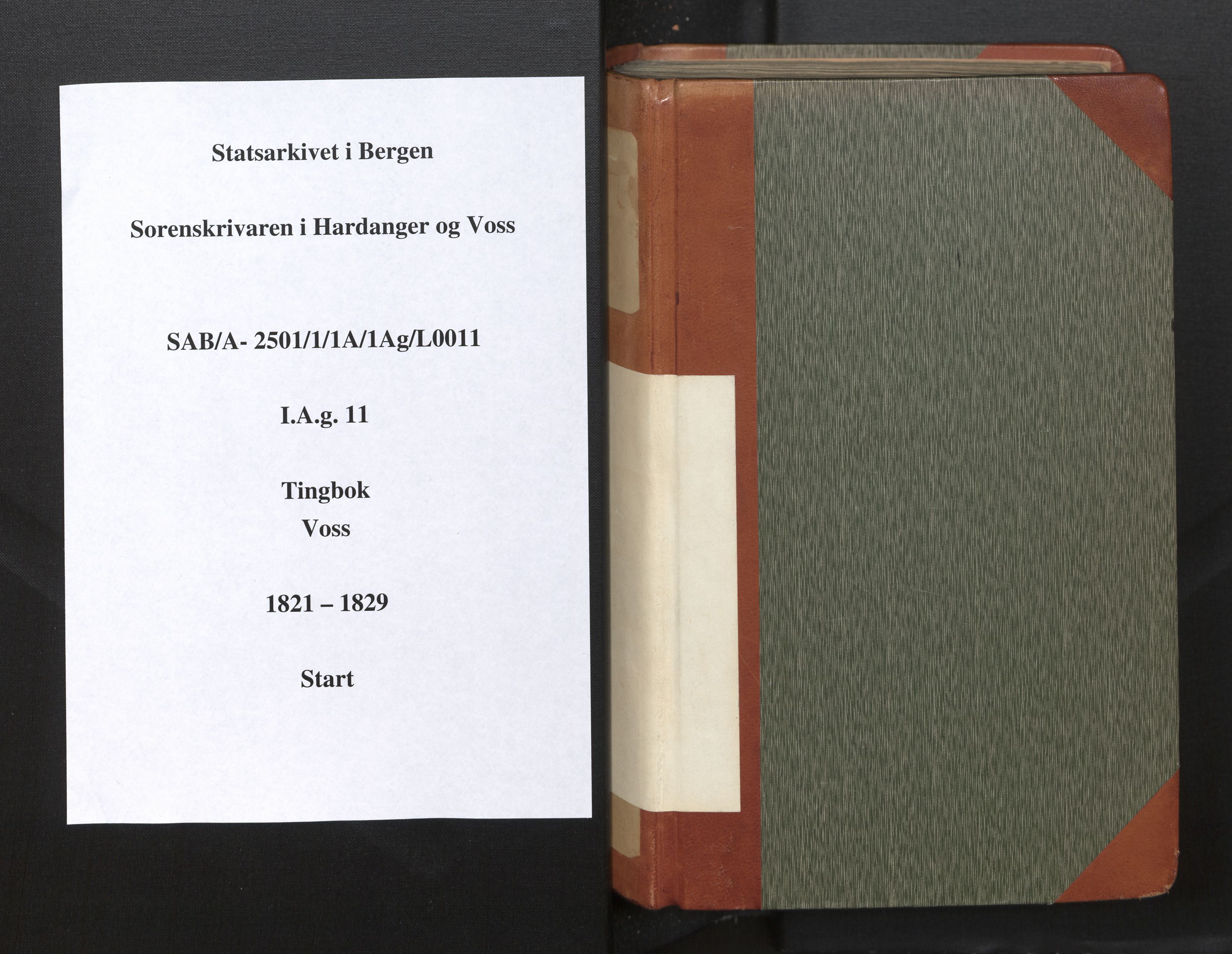 Hardanger og Voss sorenskriveri, SAB/A-2501/1/1A/1Ag/L0011: Tingbok for Voss, 1821-1829